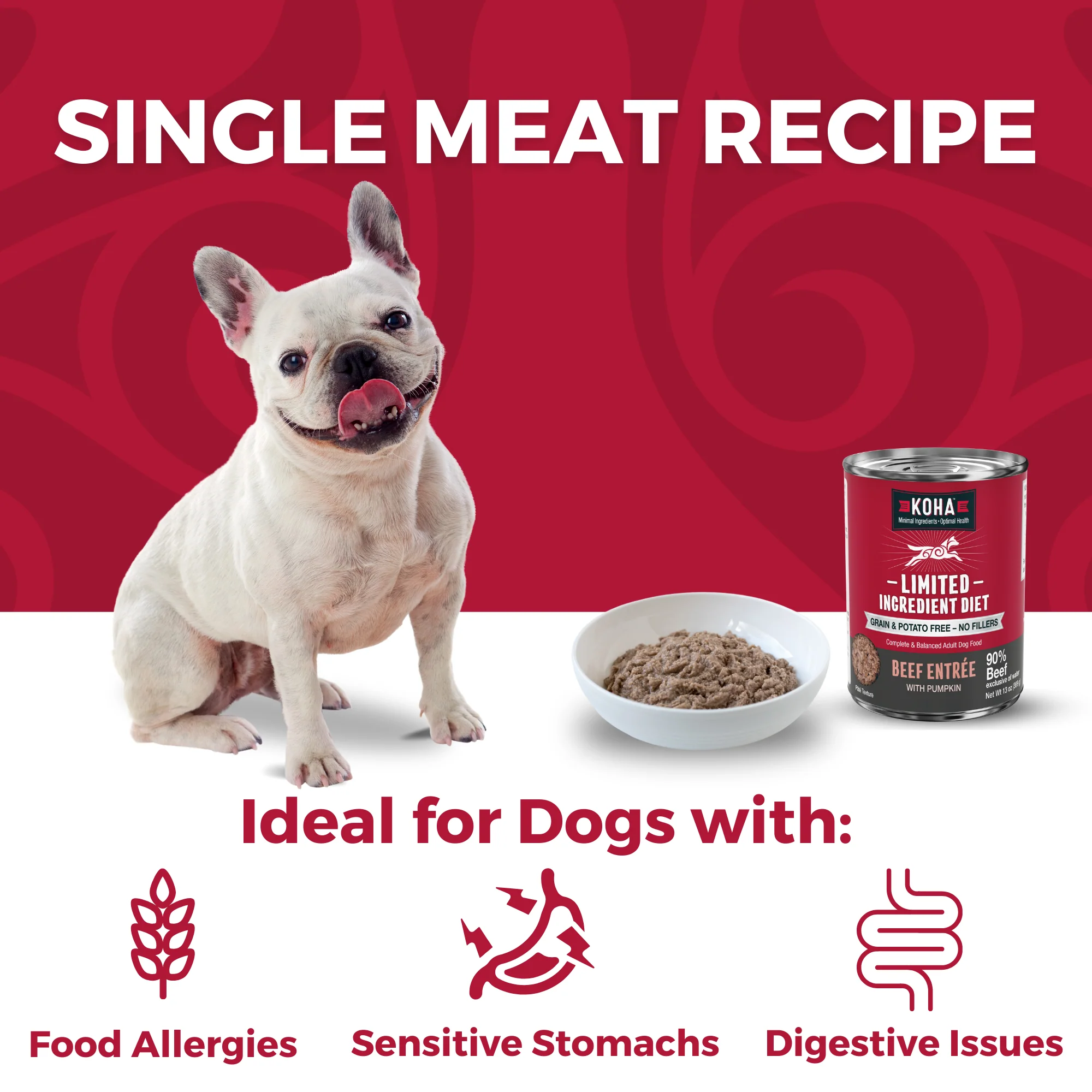 Beef Dog Food: Limited Ingredient Diet Beef Entrée for Dogs - Image 3