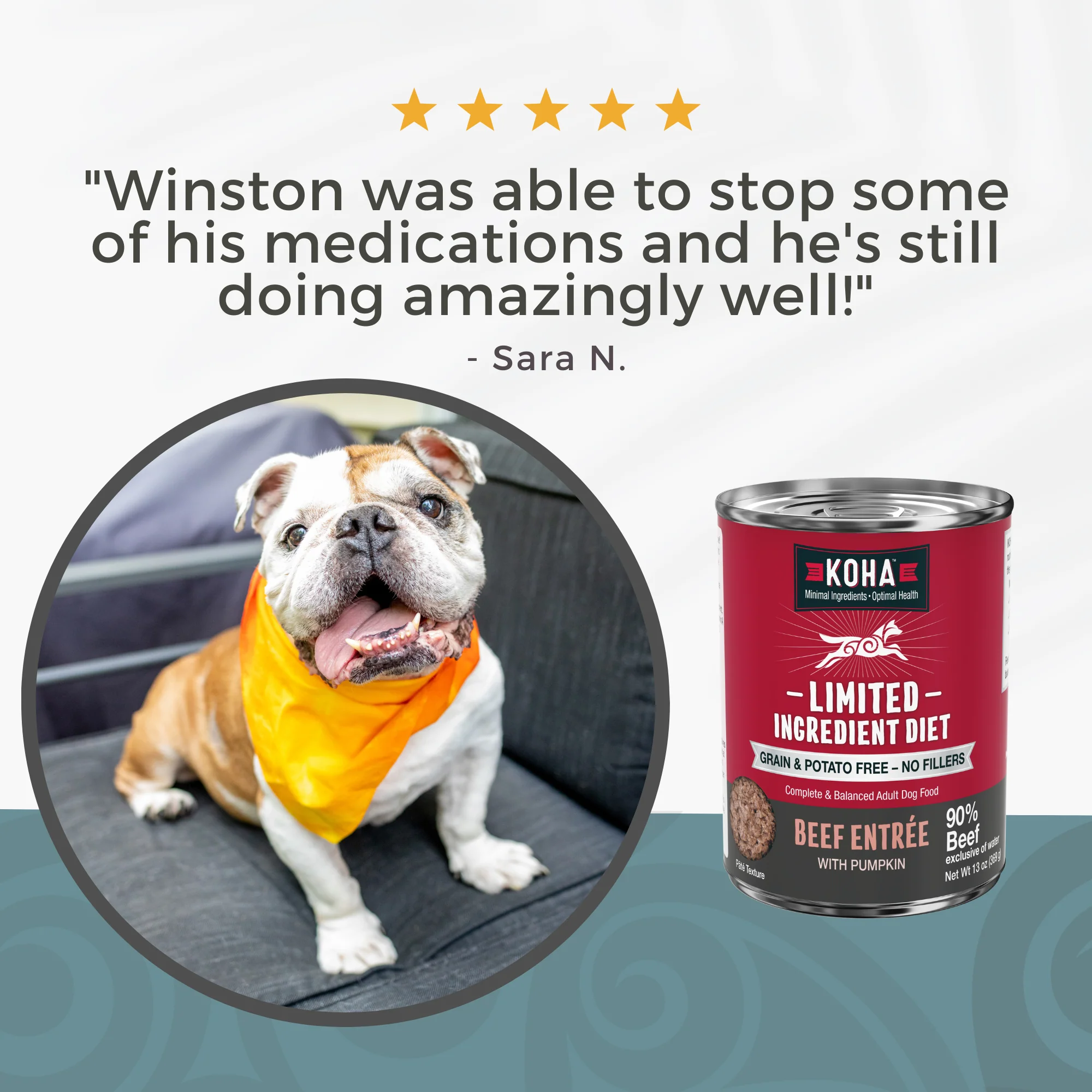 Beef Dog Food: Limited Ingredient Diet Beef Entrée for Dogs - Image 5