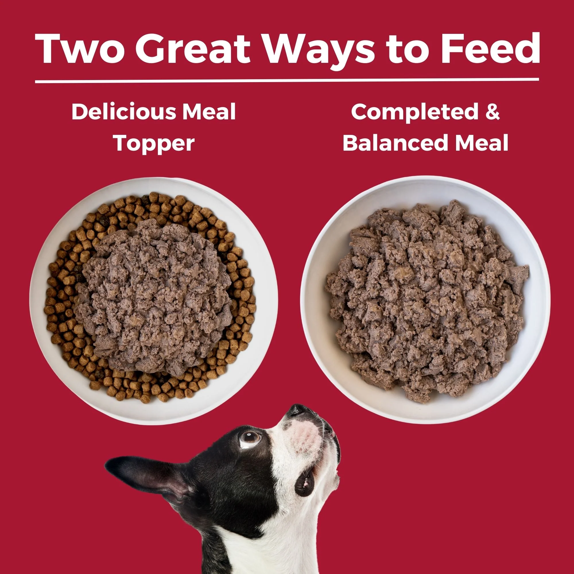 Beef Dog Food: Limited Ingredient Diet Beef Entrée for Dogs - Image 6