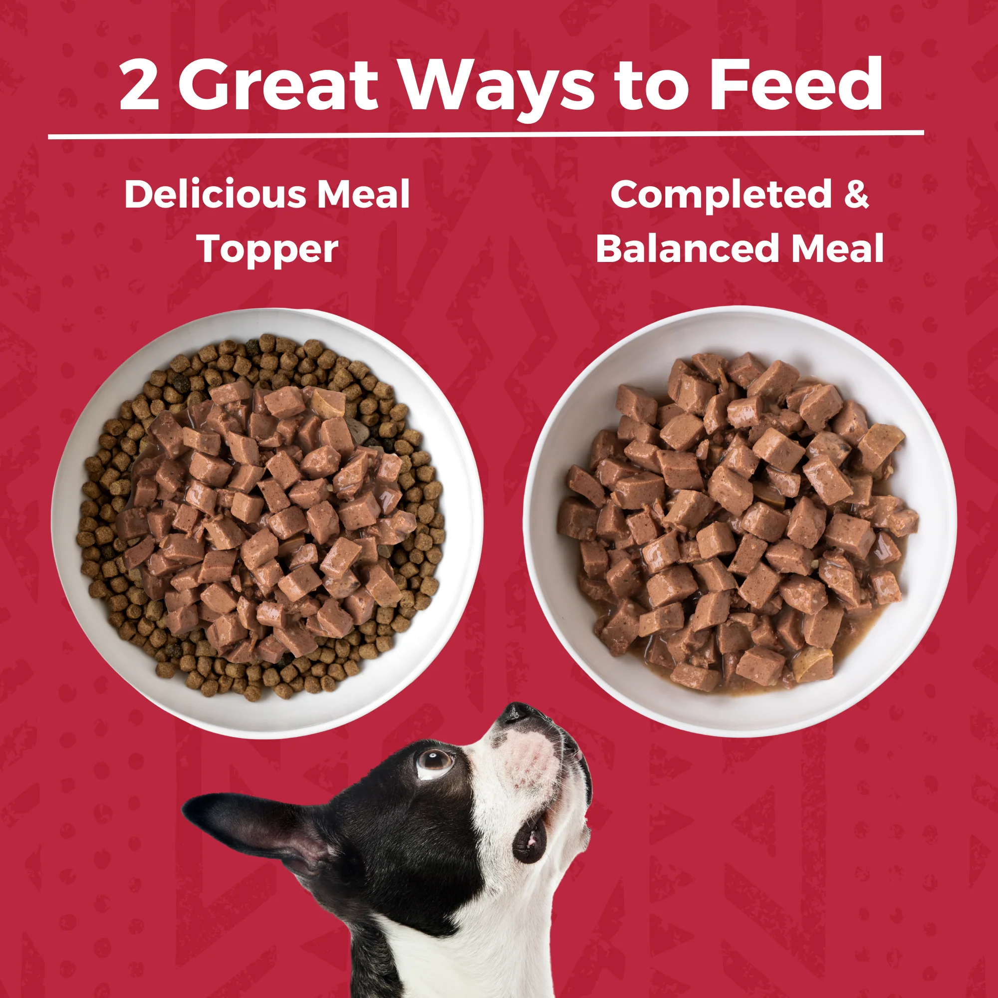 Minimal Ingredient Beef Stew for Dogs - Image 3