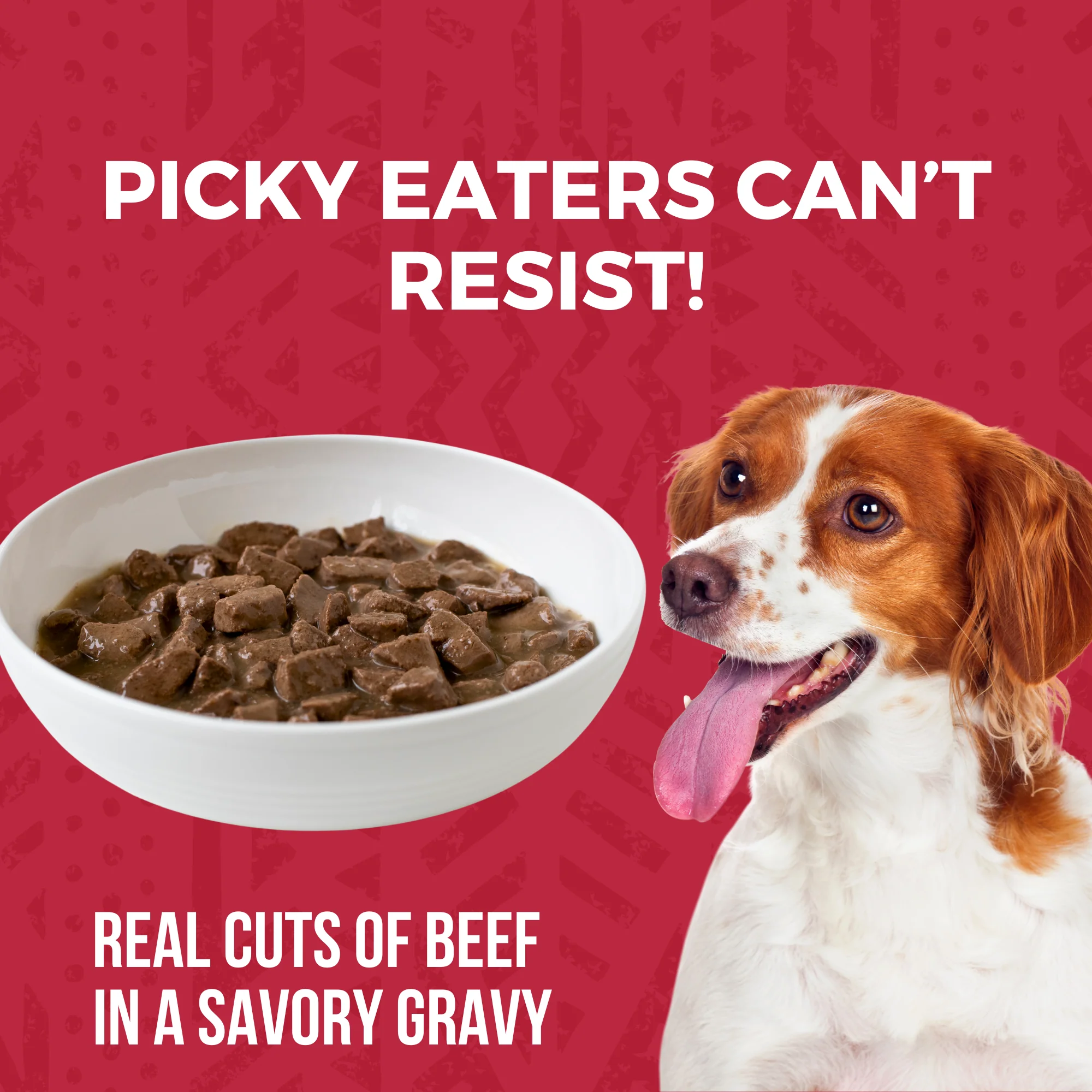 Minimal Ingredient Beef Stew for Dogs - Image 4