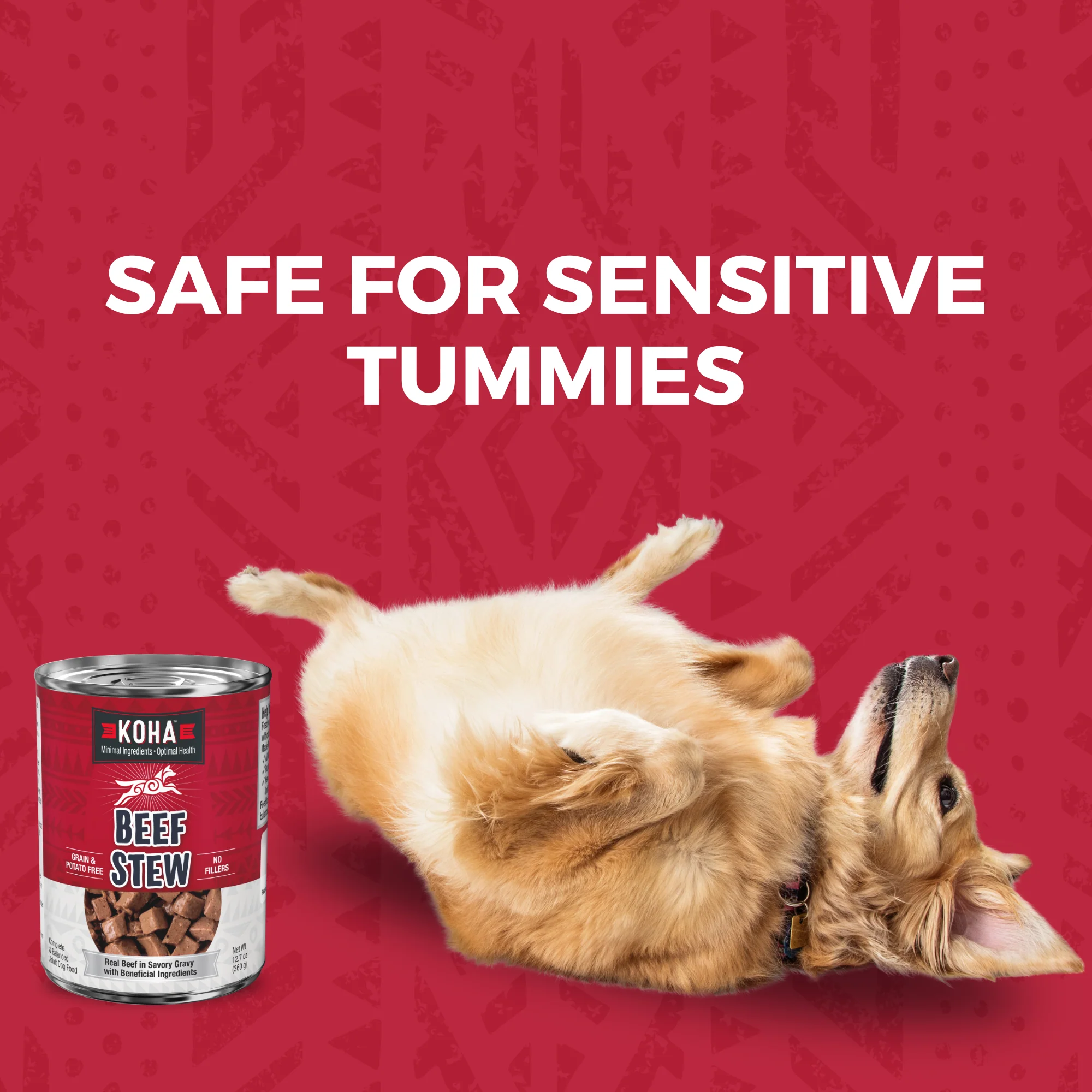 Minimal Ingredient Beef Stew for Dogs - Image 5