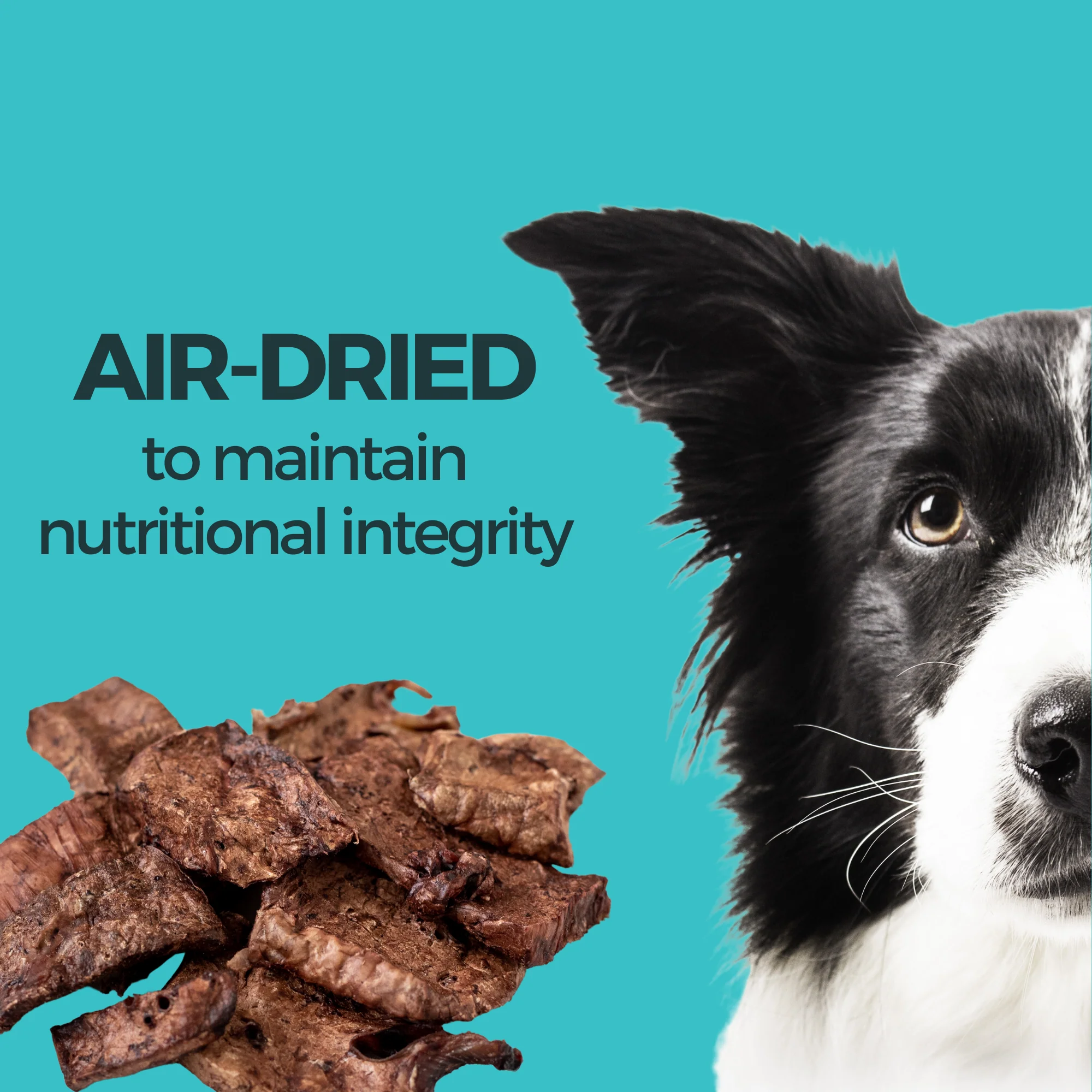Beef Lung Strips All Natural Treats - Image 4