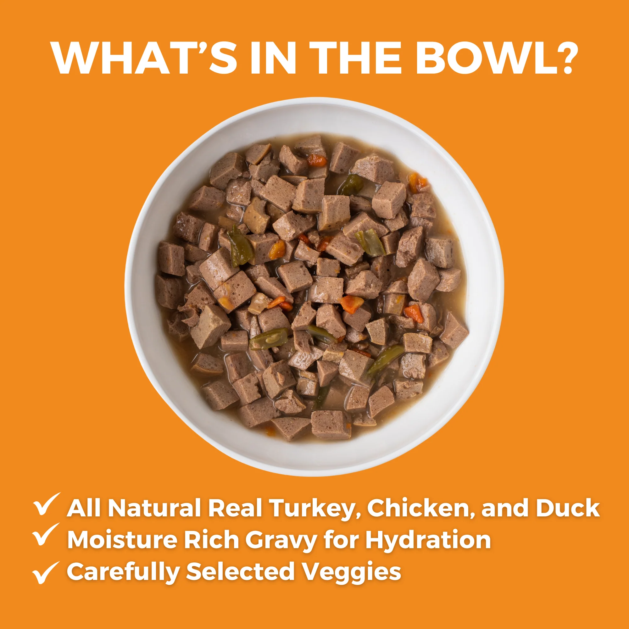 Big Easy Feast Slow Cooked Stew Turkey, Chicken, & Duck for Dogs - Image 2