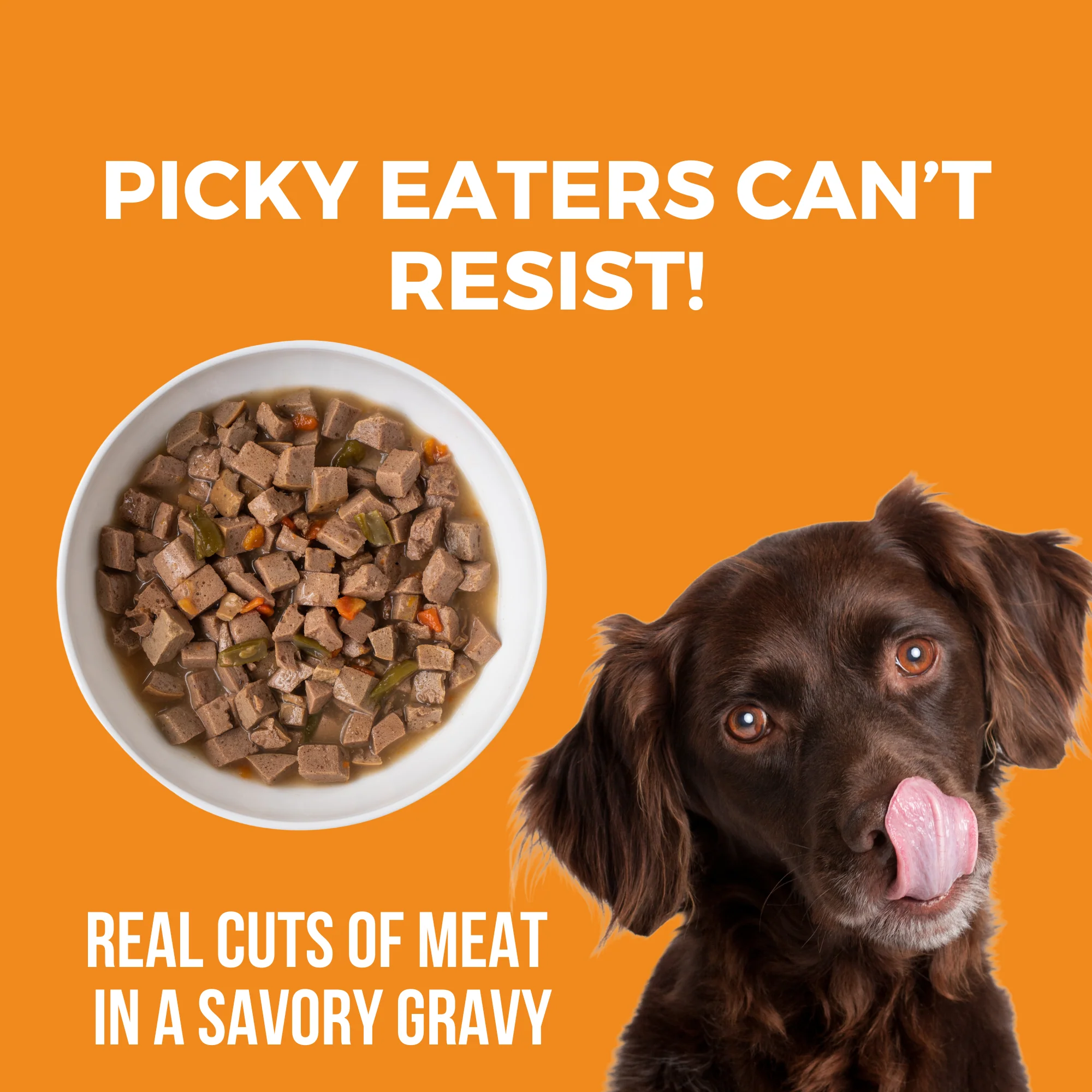 Big Easy Feast Slow Cooked Stew Turkey, Chicken, & Duck for Dogs - Image 3