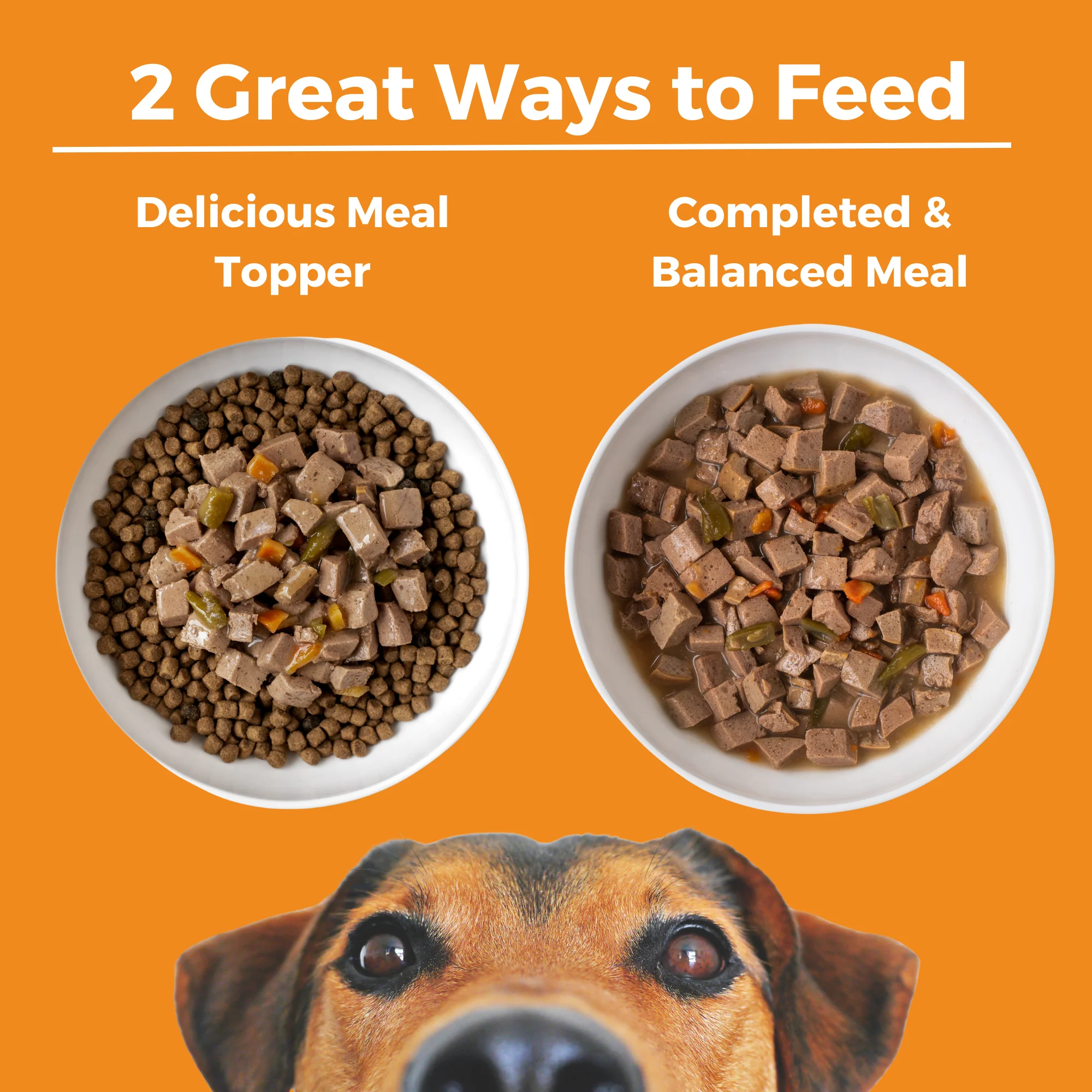 Big Easy Feast Slow Cooked Stew Turkey, Chicken, & Duck for Dogs - Image 4
