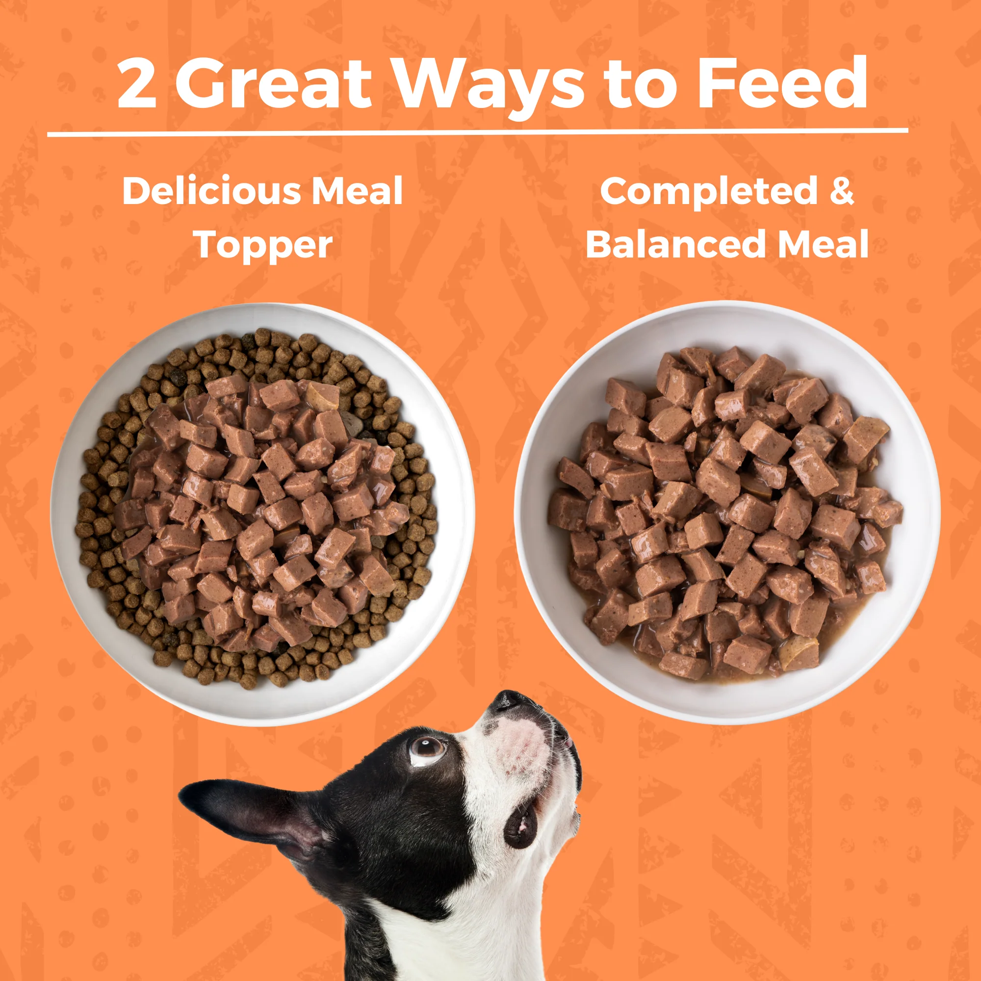 Minimal Ingredient Chicken Stew for Dogs - Image 3