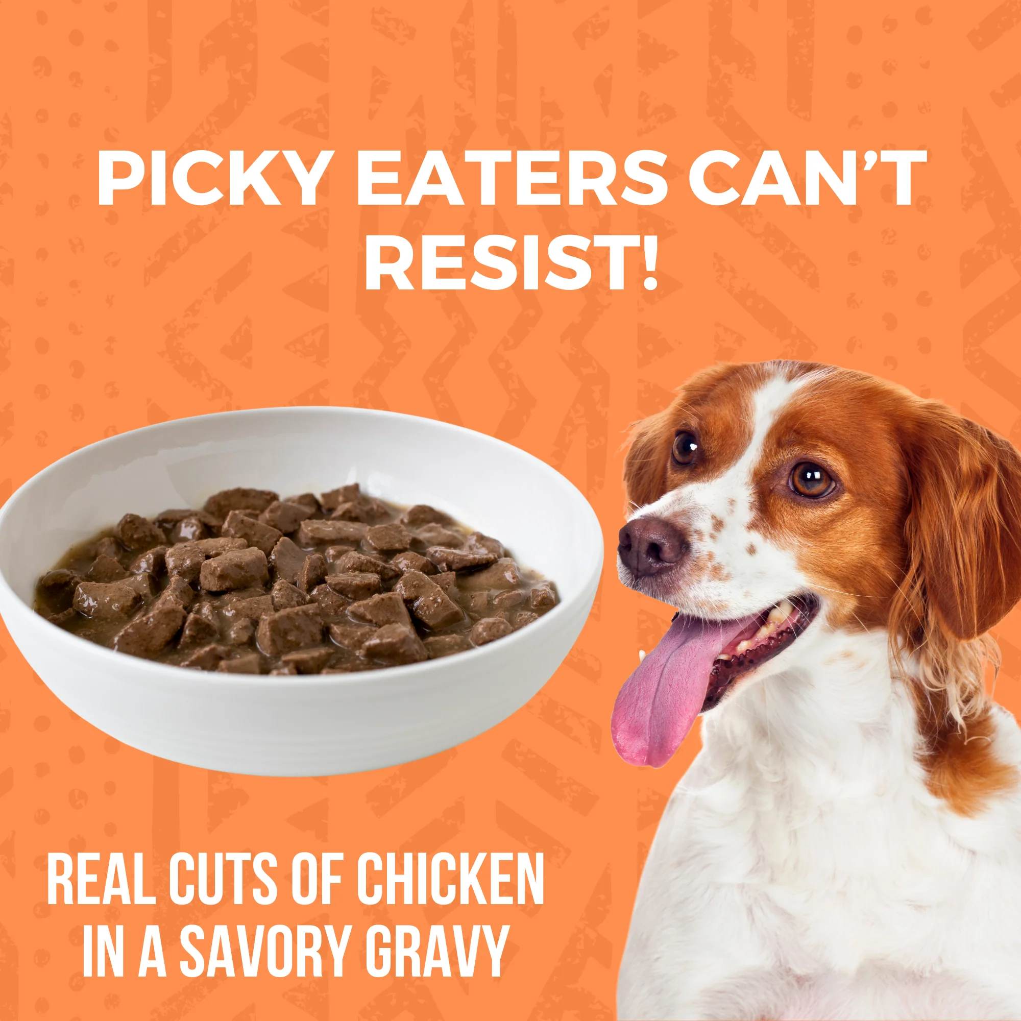 Minimal Ingredient Chicken Stew for Dogs - Image 4