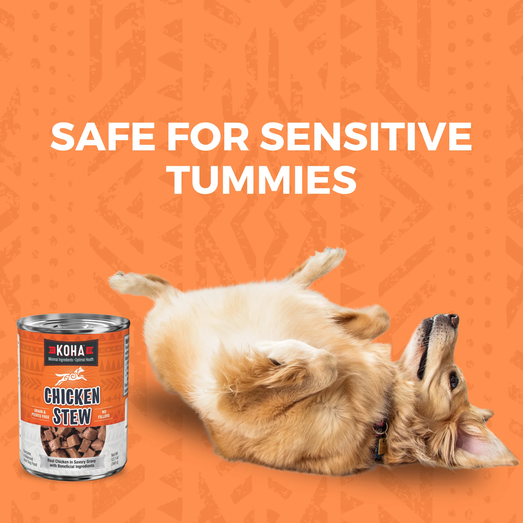Minimal Ingredient Chicken Stew for Dogs - Image 5