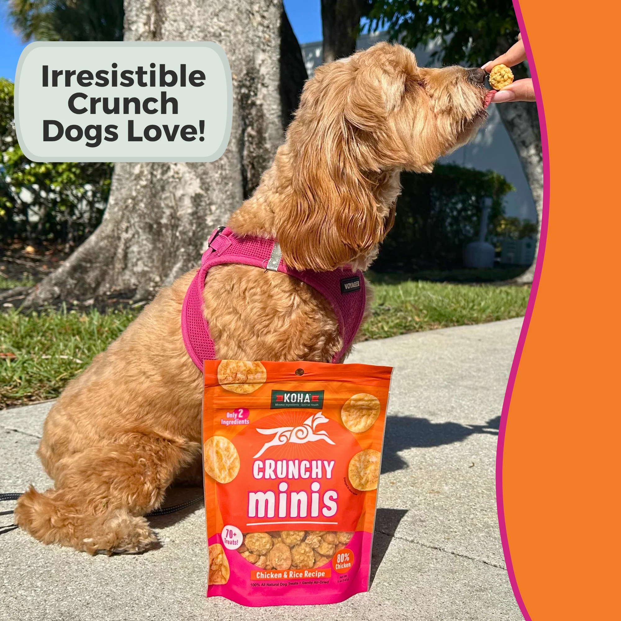 Crunchy Minis Chicken & Rice Recipe - Image 3