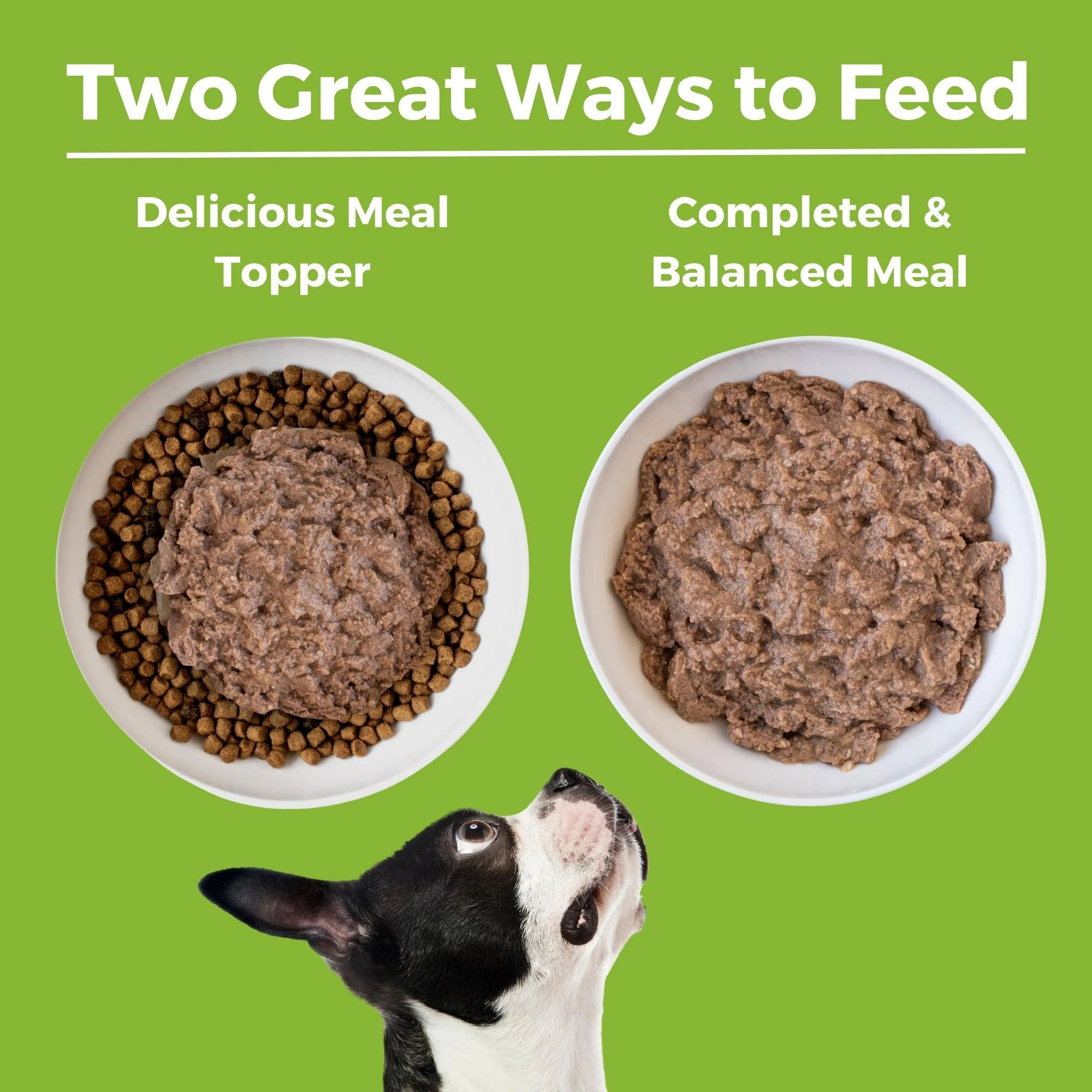 Duck Dog Food: Limited Ingredient Diet Duck Entrée for Dogs - Image 5