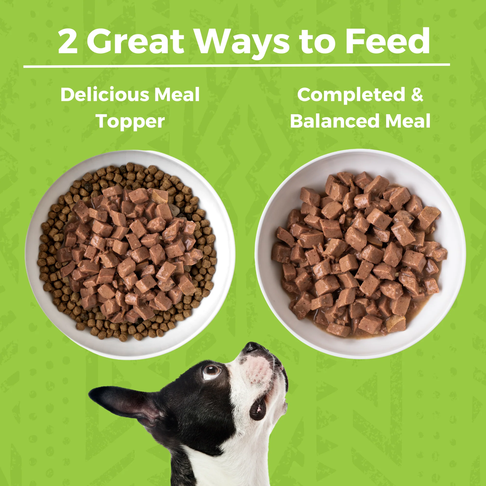 Minimal Ingredient Duck Stew for Dogs - Image 3