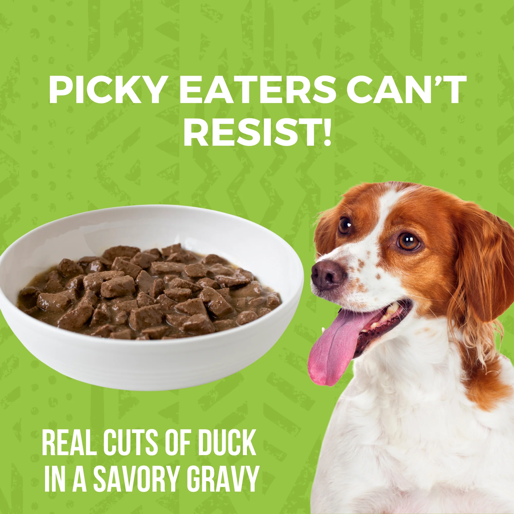 Minimal Ingredient Duck Stew for Dogs - Image 4