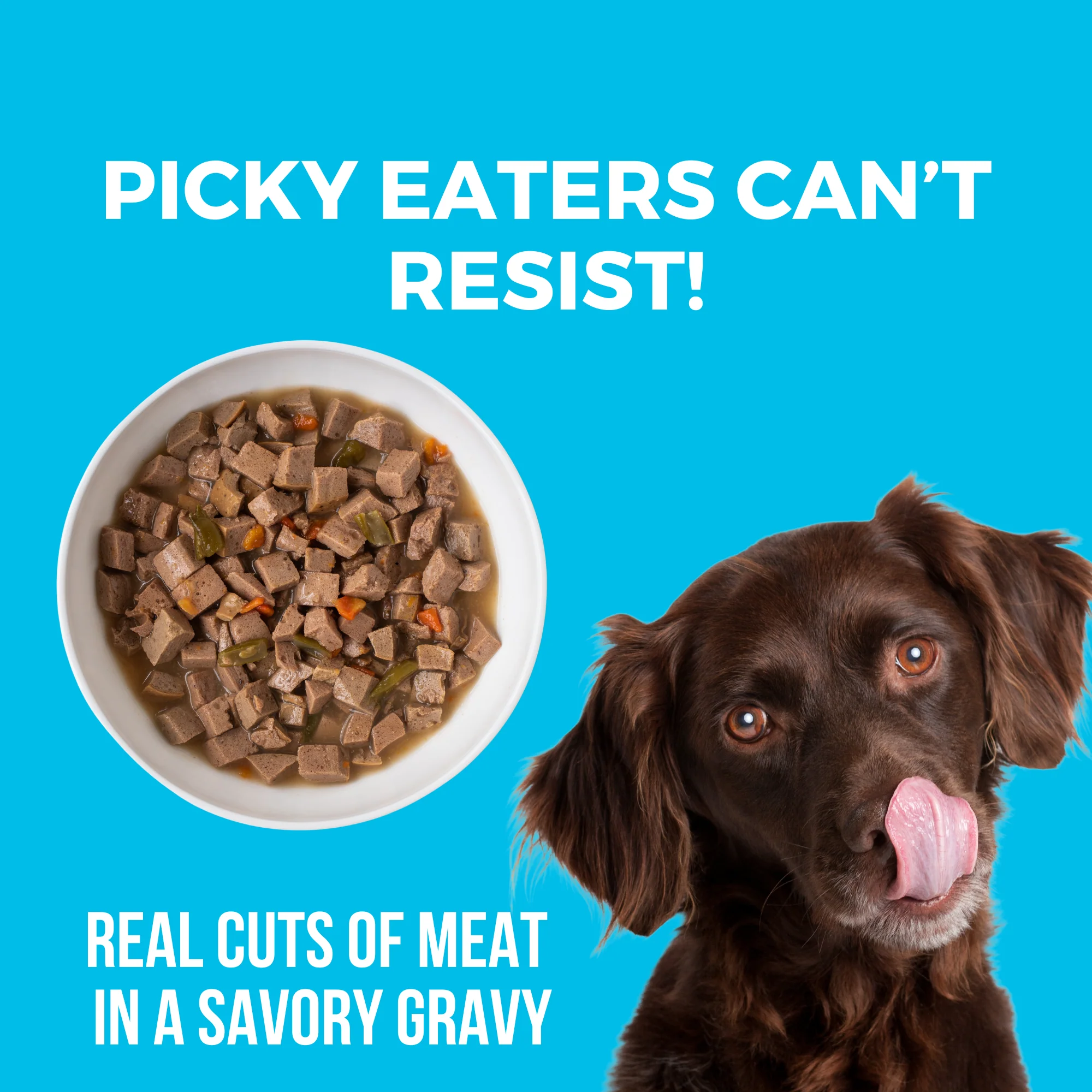 Greek Island Grill Slow Cooked Stew Chicken and Lamb for Dogs - Image 3
