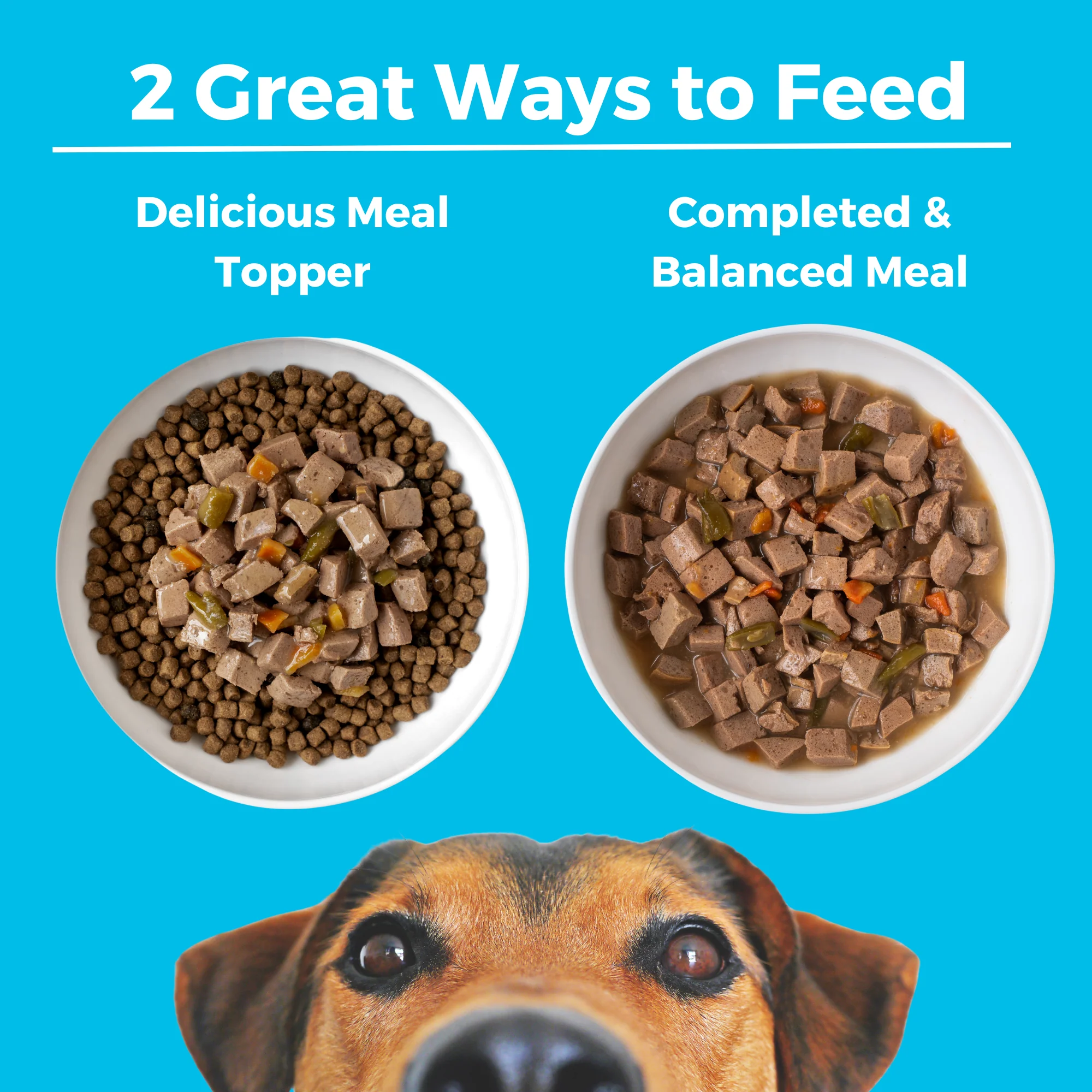 Greek Island Grill Slow Cooked Stew Chicken and Lamb for Dogs - Image 4