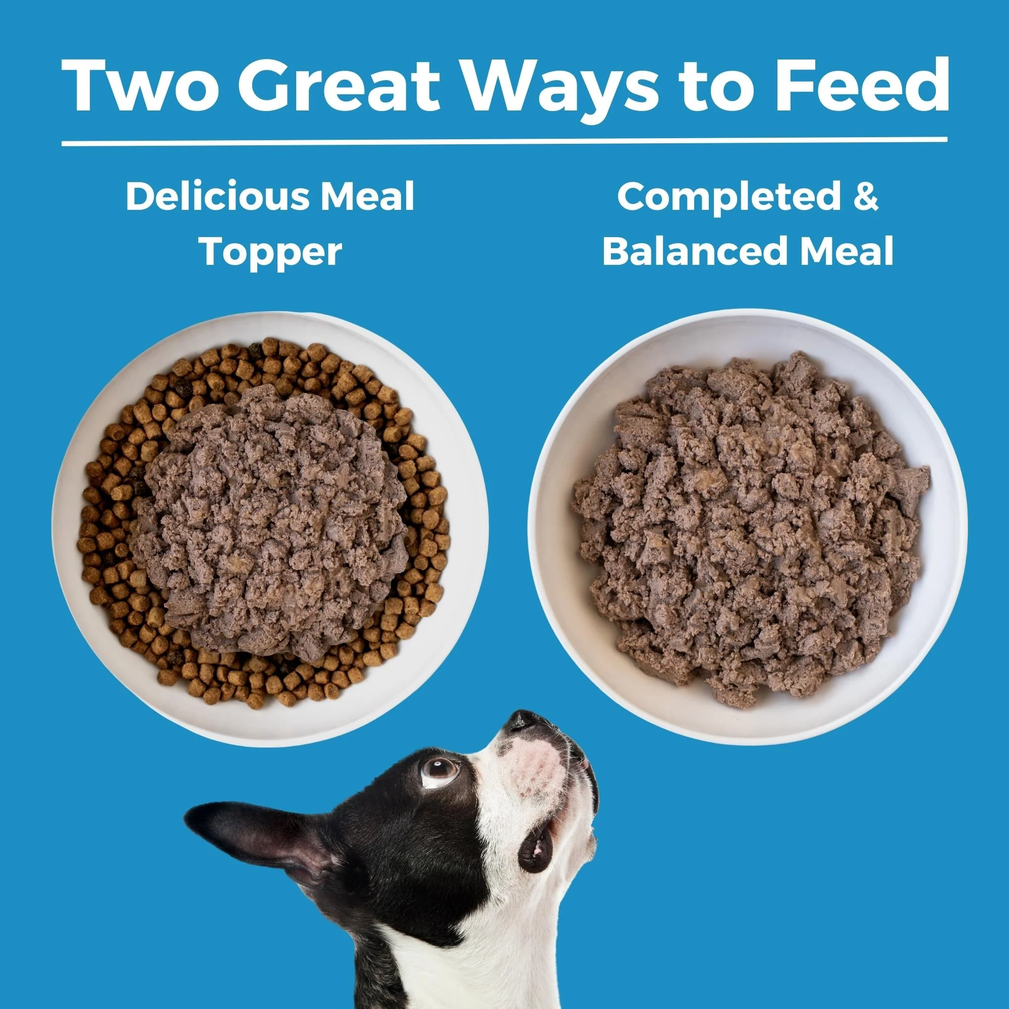 Limited Ingredient Diet Lamb Entrée for Dogs - Image 5