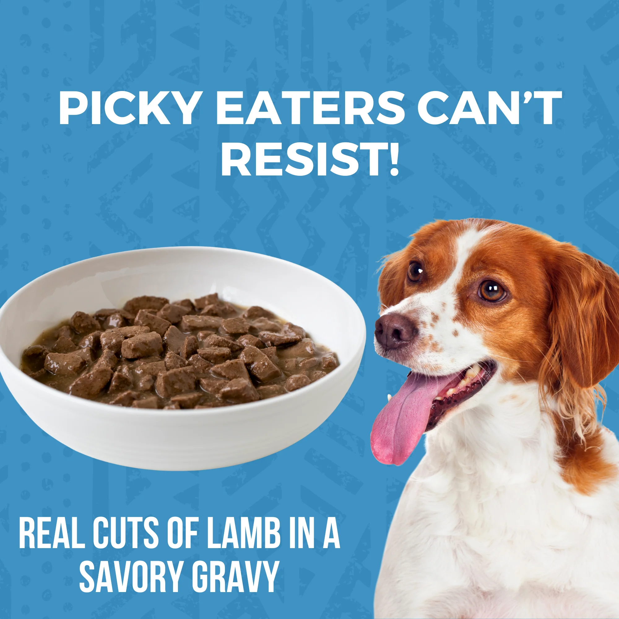 Minimal Ingredient Lamb Stew for Dogs - Image 3