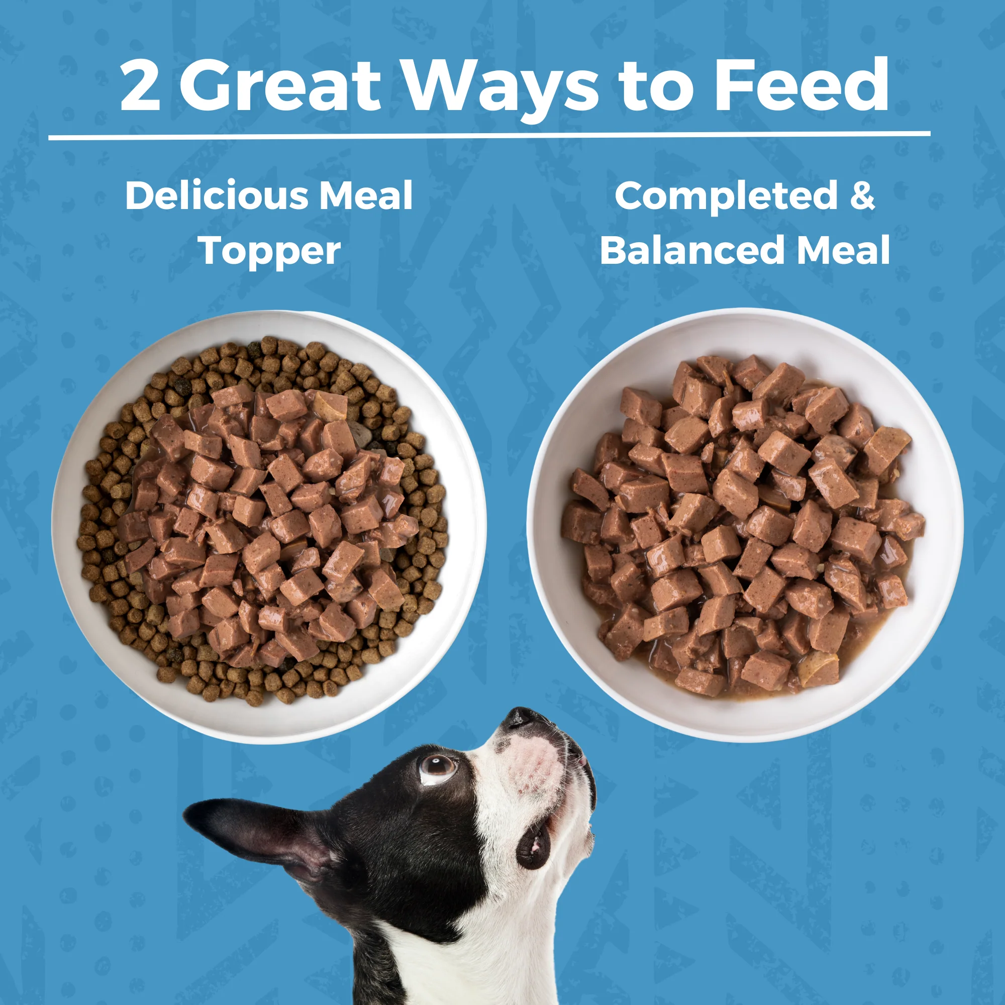 Minimal Ingredient Lamb Stew for Dogs - Image 6