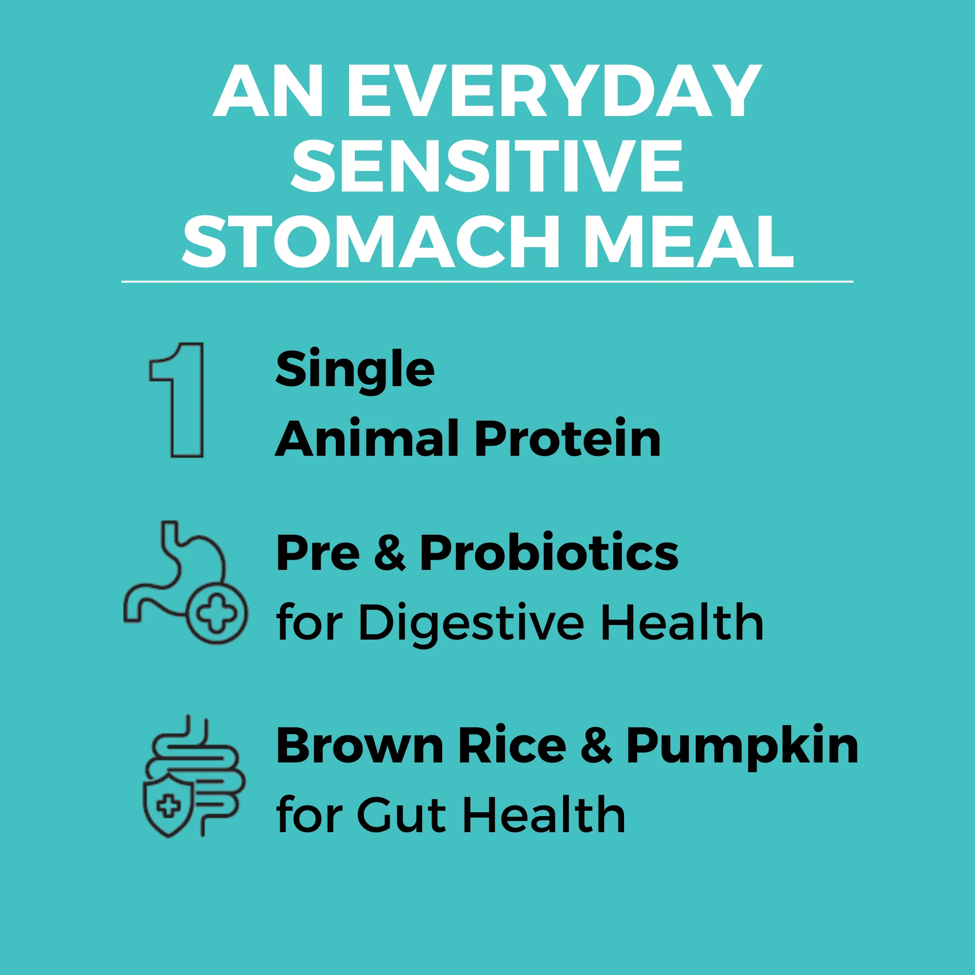 Limited Ingredient Dry Bland Diet Beef & Brown Rice Recipe with Pumpkin for Dogs - Image 3