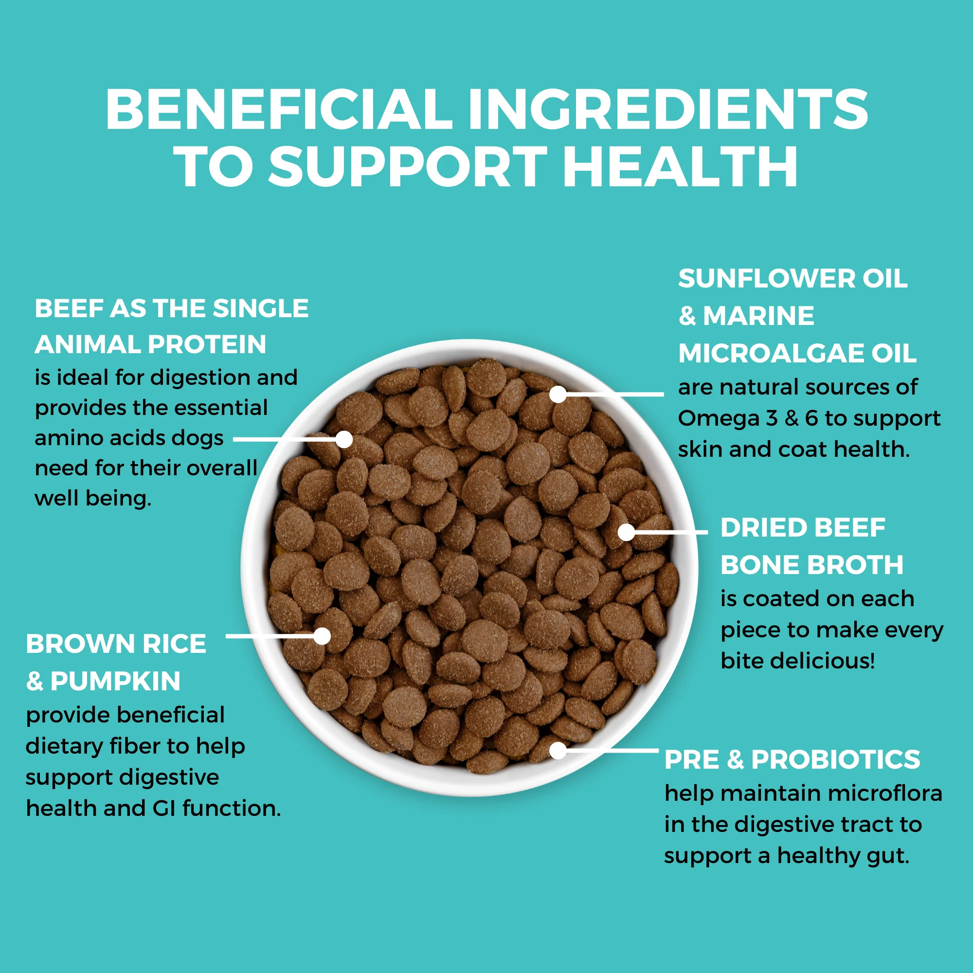 Limited Ingredient Dry Bland Diet Beef & Brown Rice Recipe with Pumpkin for Dogs - Image 4