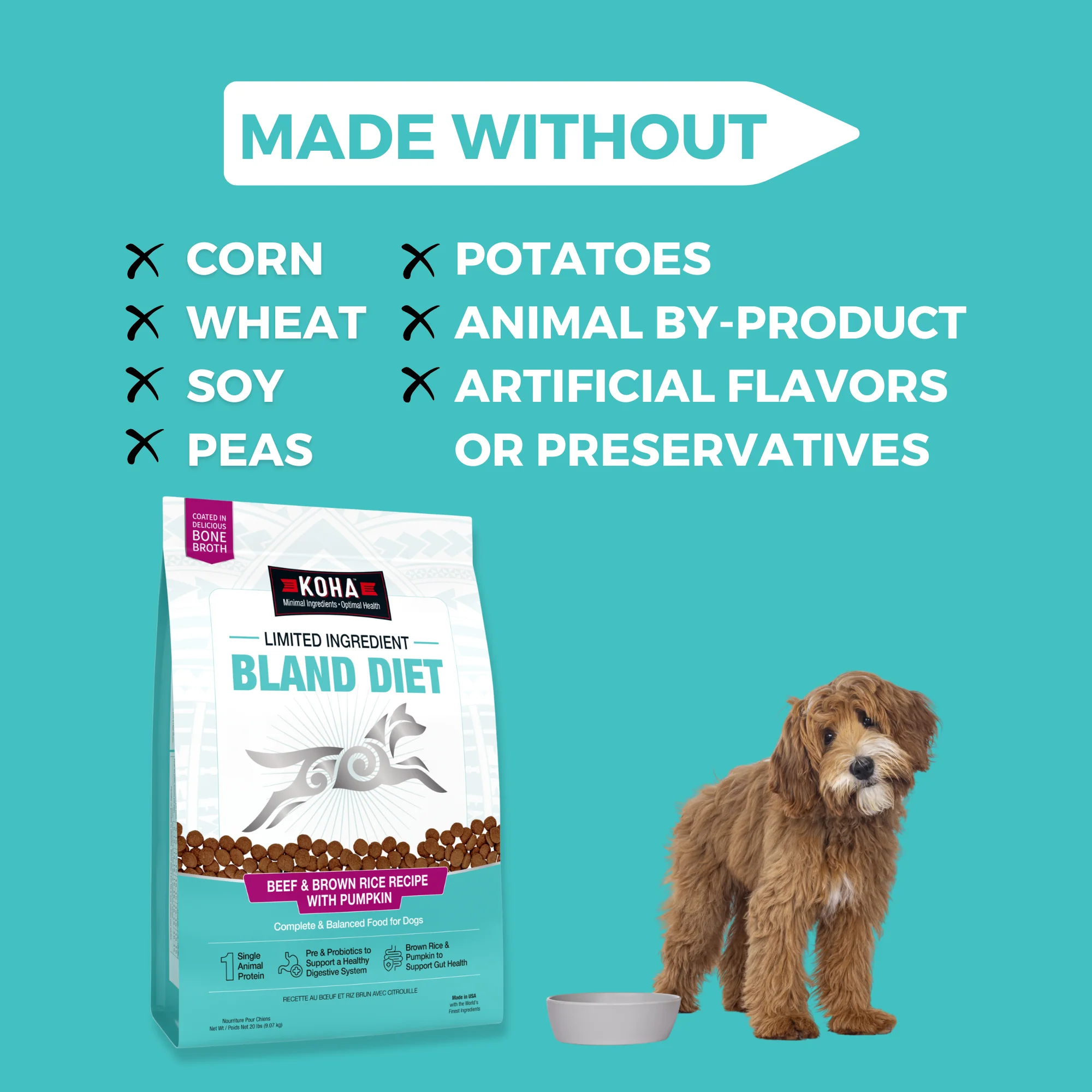 Limited Ingredient Dry Bland Diet Beef & Brown Rice Recipe with Pumpkin for Dogs - Image 6