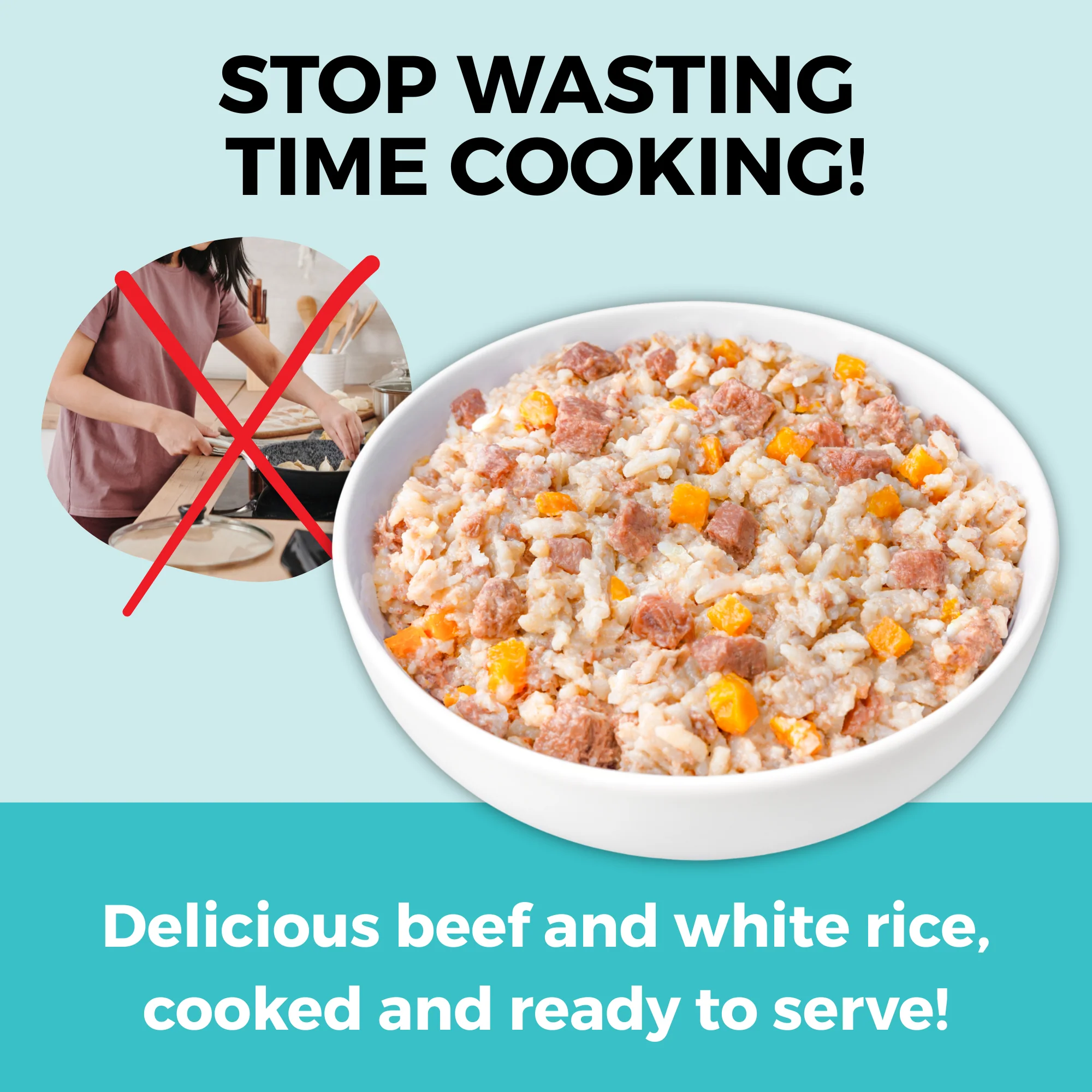 Limited Ingredient Wet Bland Diet Beef & White Rice Recipe for Dogs - Image 3