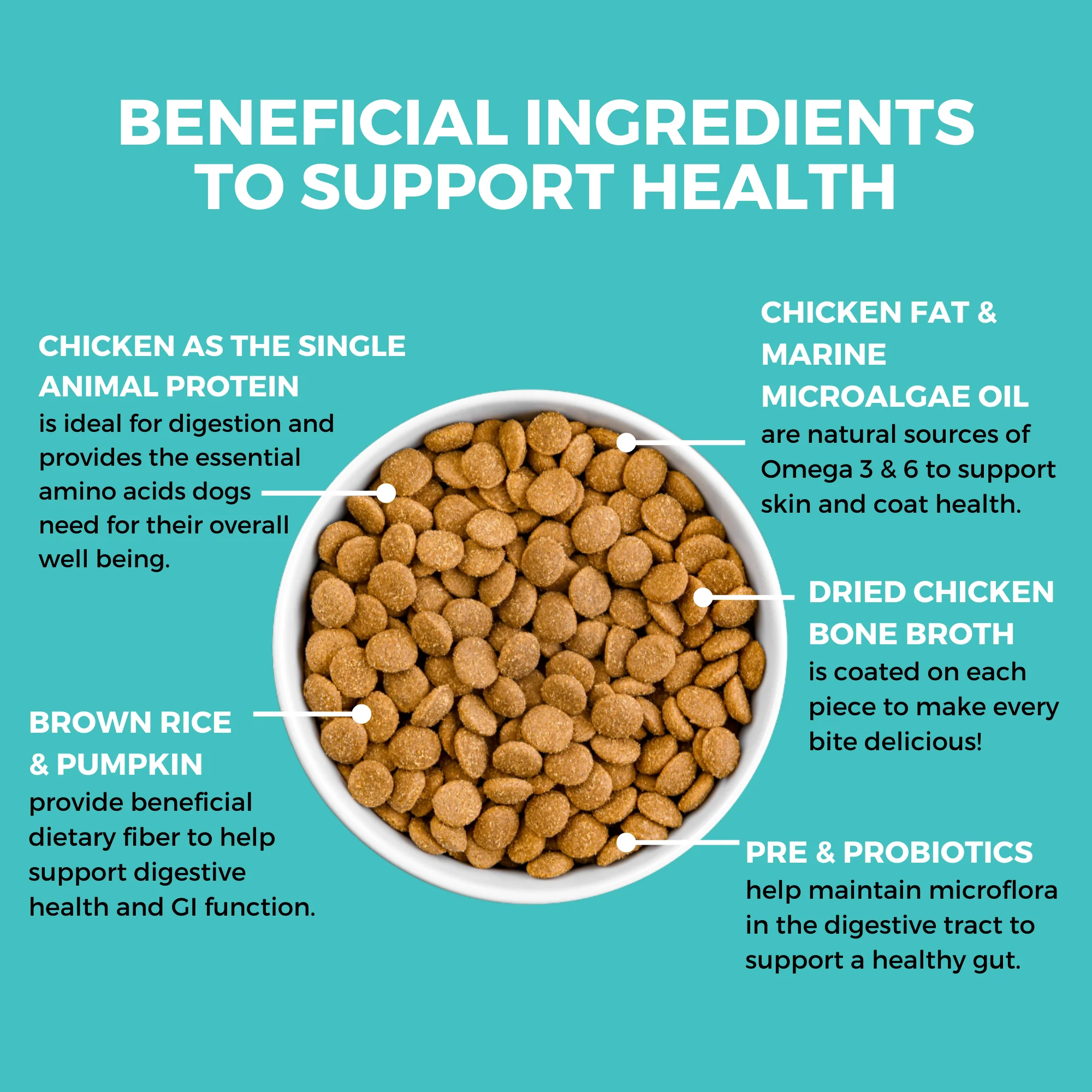 Limited Ingredient Dry Bland Diet Chicken & Brown Rice Recipe with Pumpkin for Dogs - Image 3