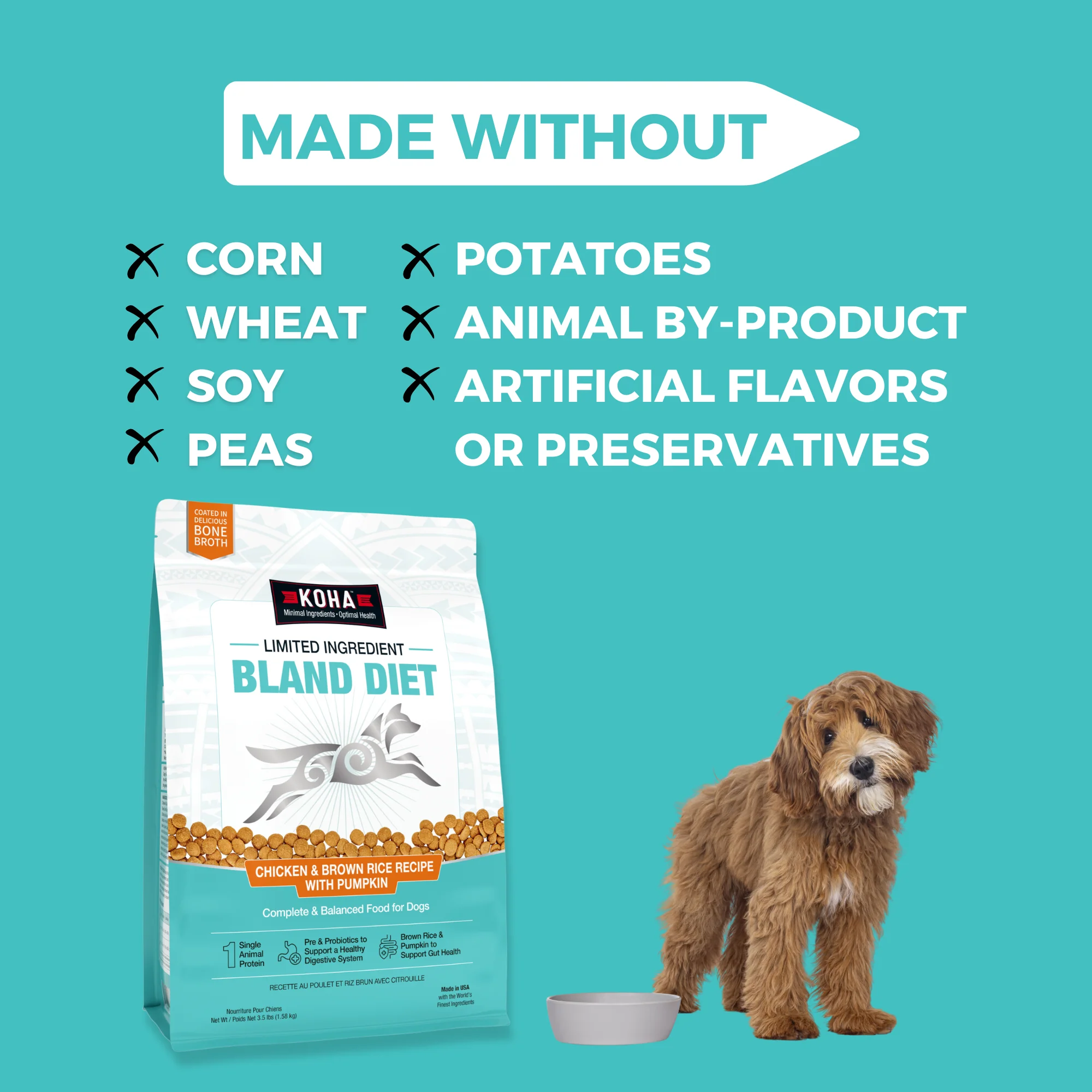 Limited Ingredient Dry Bland Diet Chicken & Brown Rice Recipe with Pumpkin for Dogs - Image 5