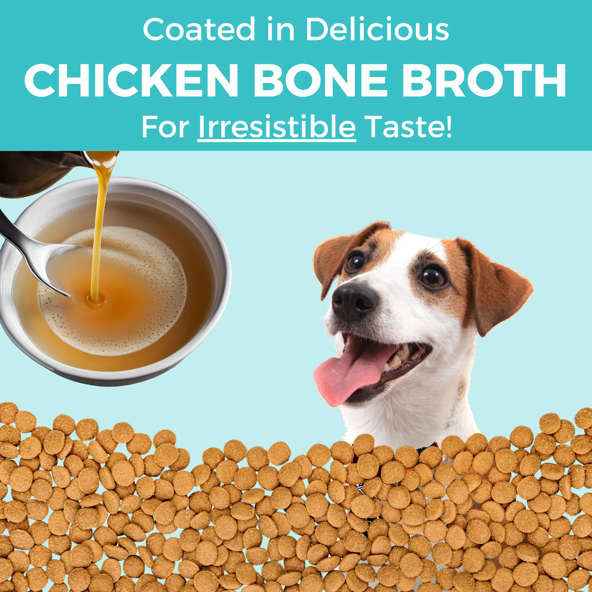 Limited Ingredient Dry Bland Diet Chicken & Brown Rice Recipe with Pumpkin for Dogs - Image 8