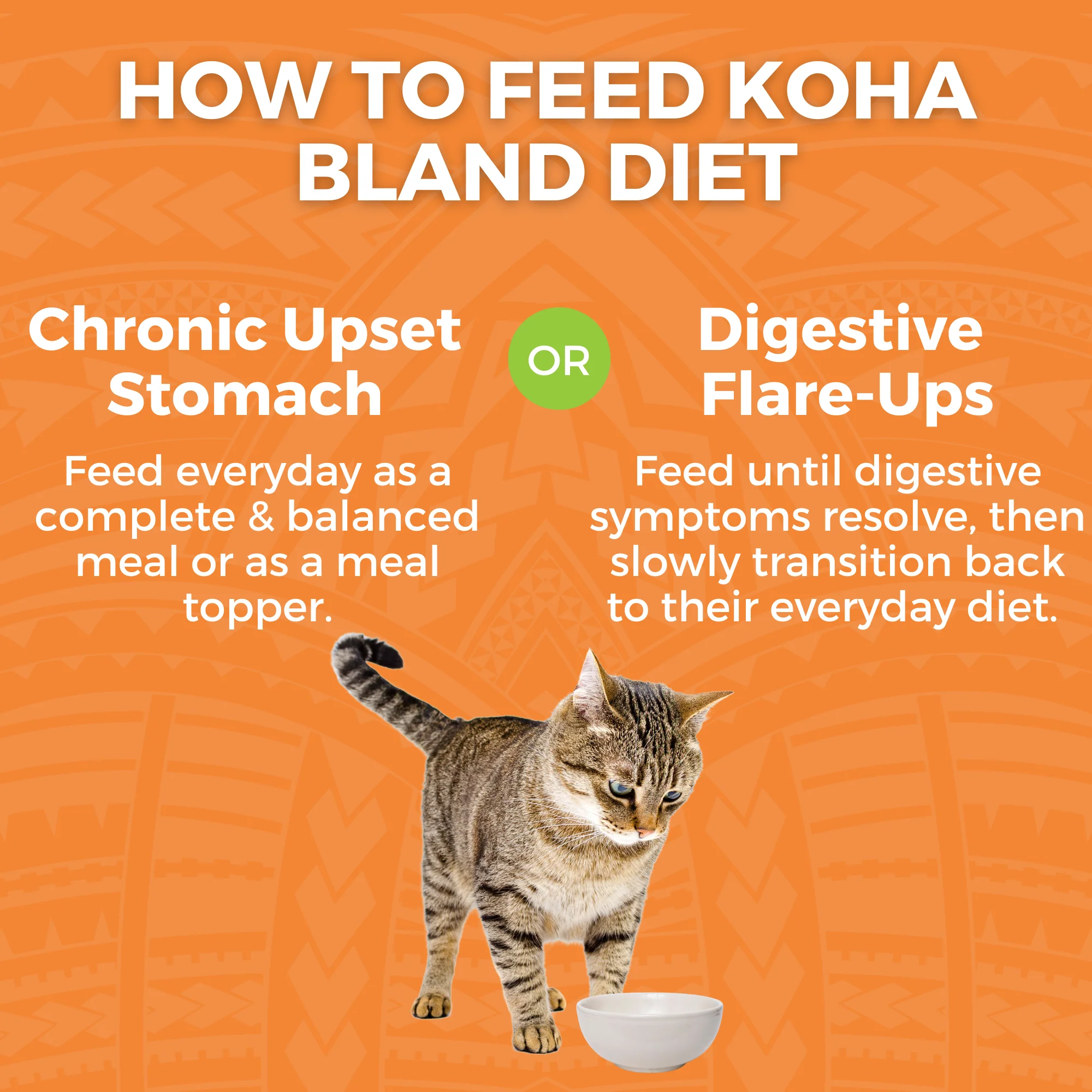 Limited Ingredient Bland Diet Wet Food Chicken & Rice Recipe for Cats - Image 4