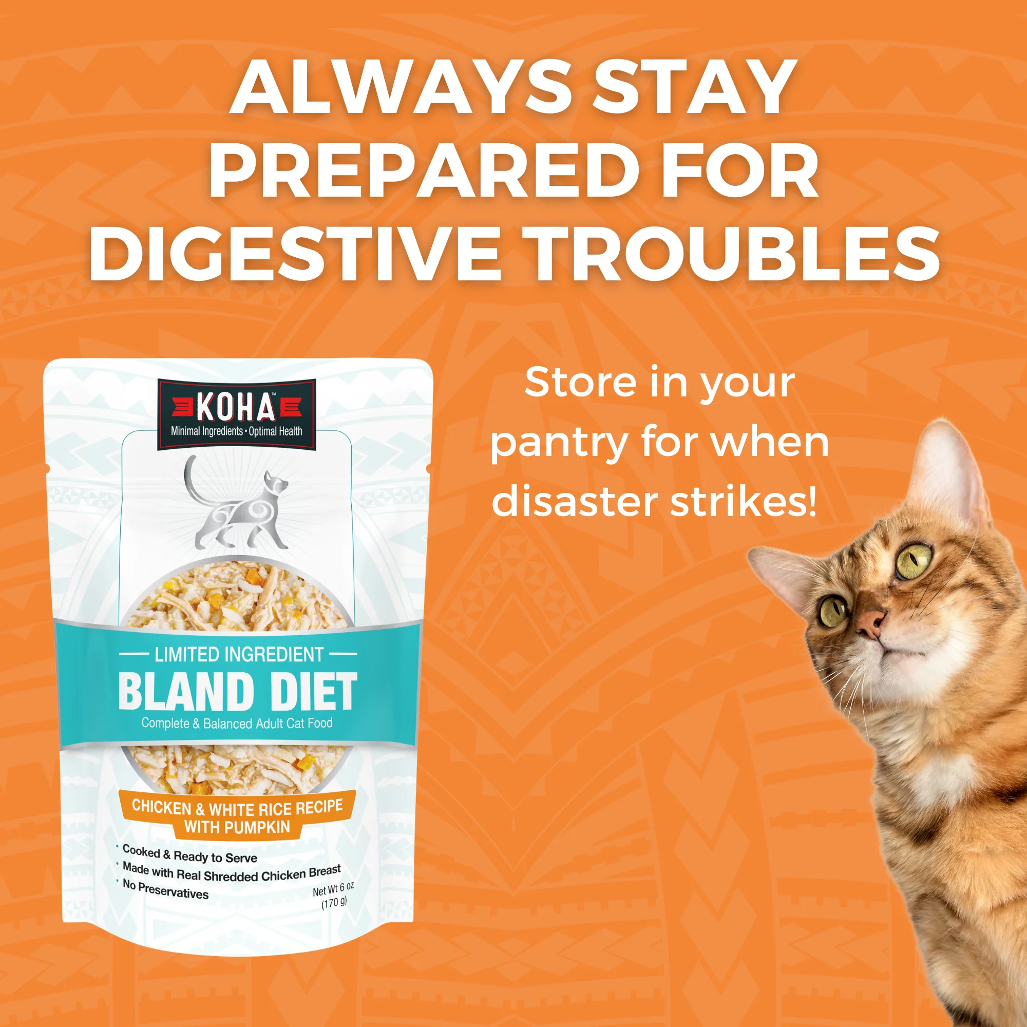 Limited Ingredient Bland Diet Wet Food Chicken & Rice Recipe for Cats - Image 5