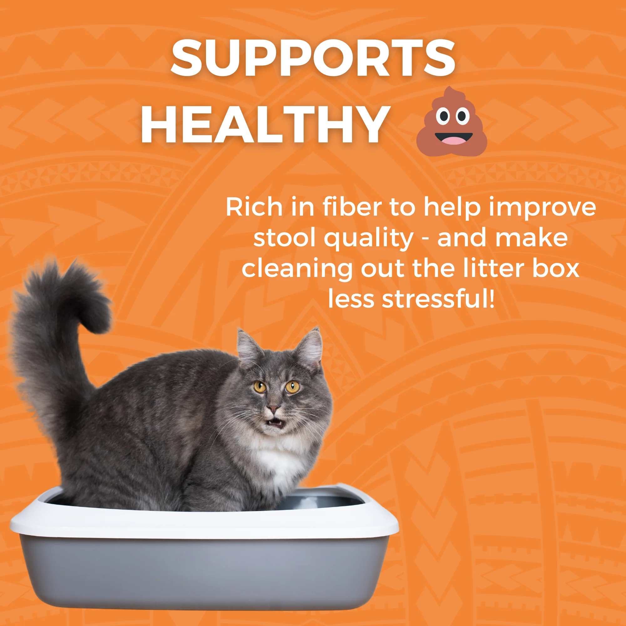 Limited Ingredient Bland Diet Wet Food Chicken & Rice Recipe for Cats - Image 6