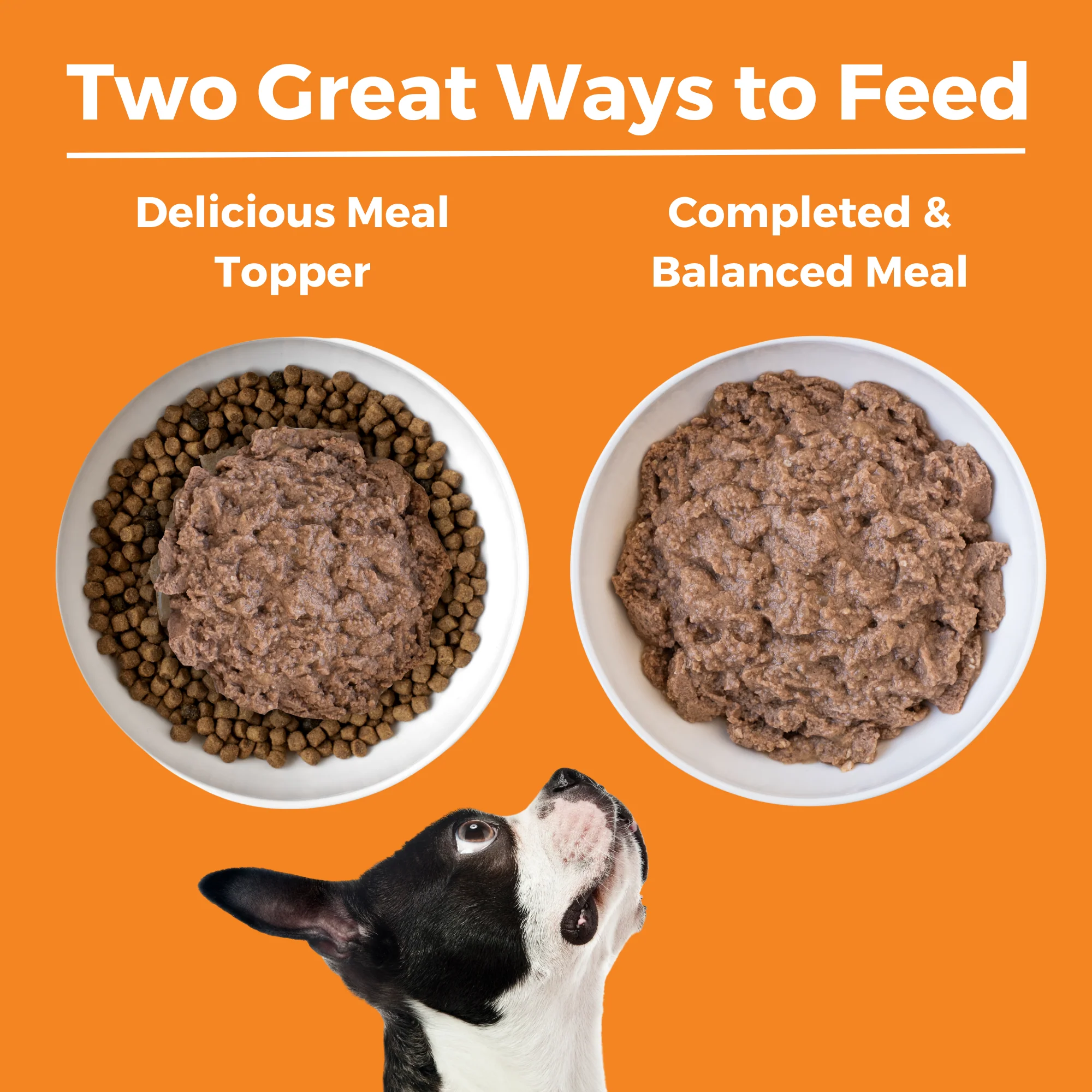 Limited Ingredient Diet Chicken Entrée for Dogs - Image 4