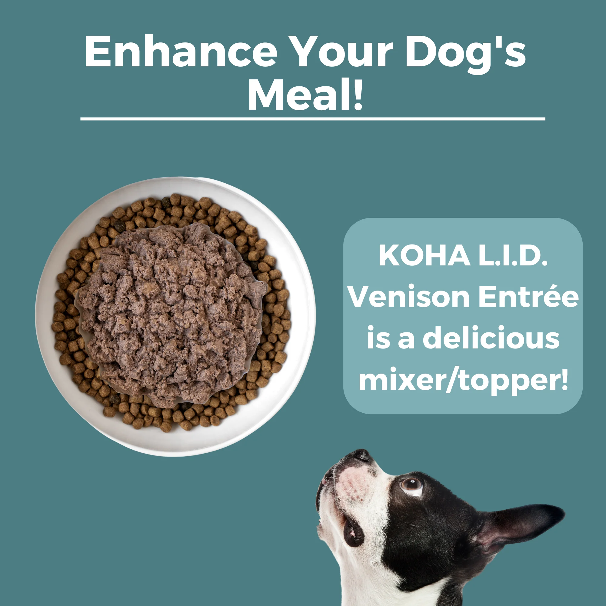 Venison Dog Food: Limited Ingredient Diet Venison Entrée for Dogs - Image 5