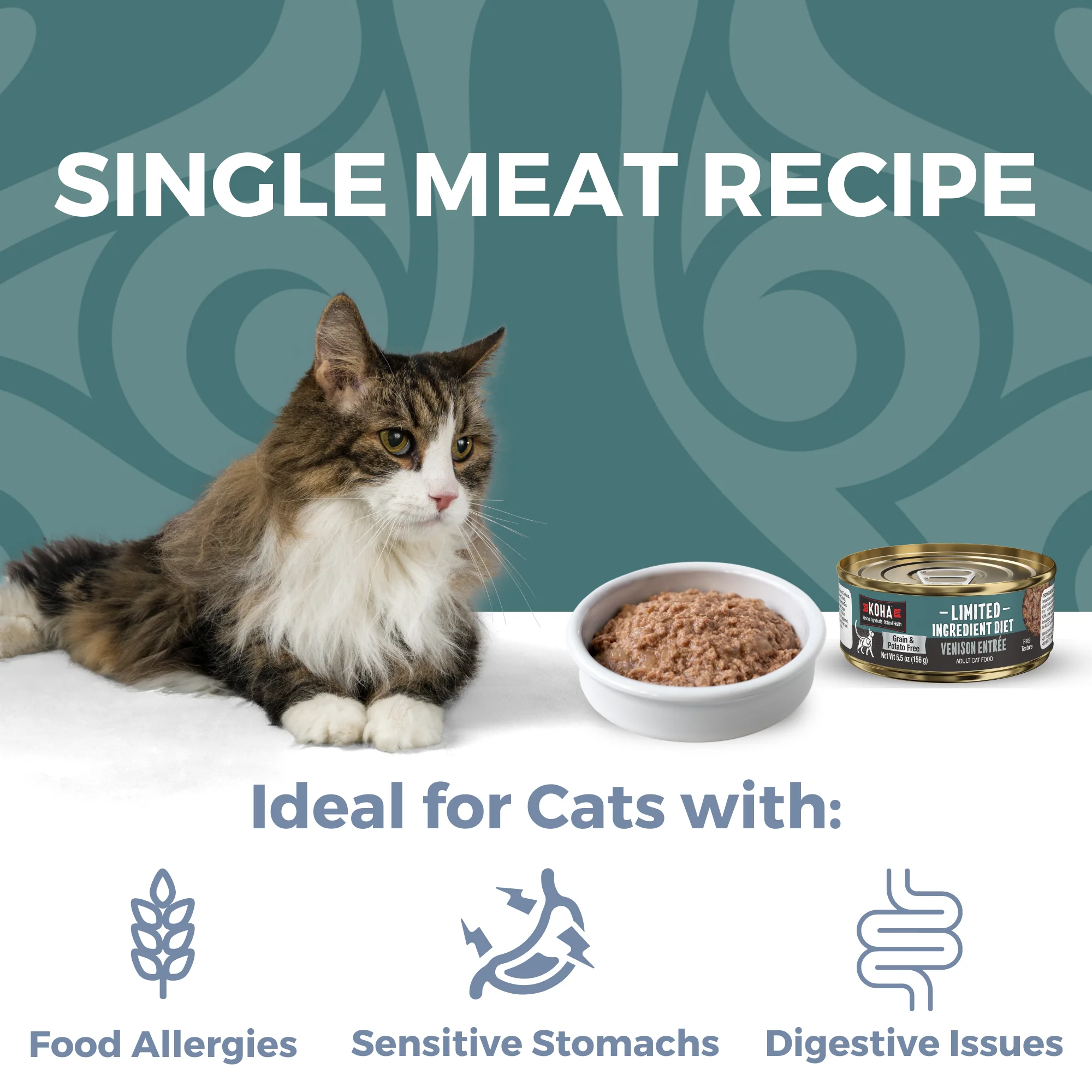 Venison Cat Food: Limited Ingredient Diet Venison Entrée for Cats - Image 3