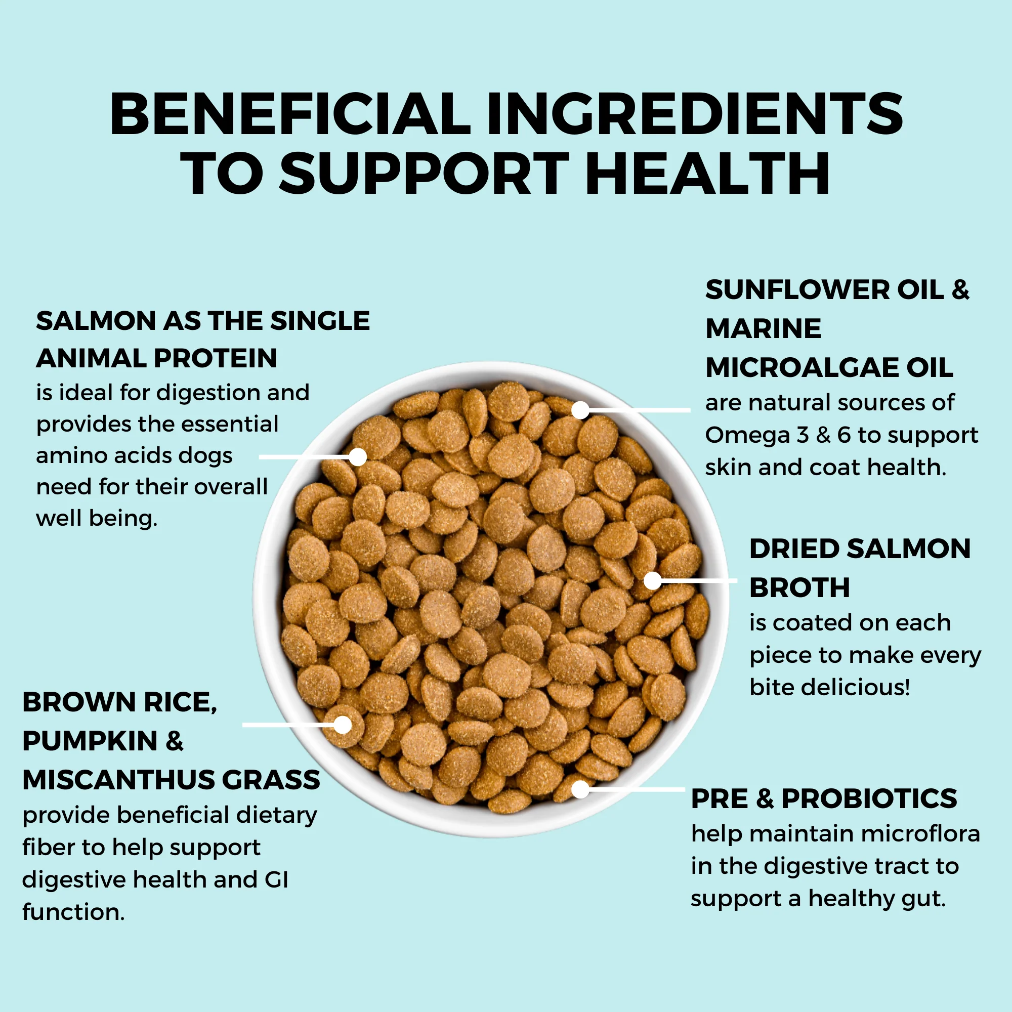 Limited Ingredient Dry Bland Diet Salmon & Brown Rice Recipe with Pumpkin for Dogs - Image 4