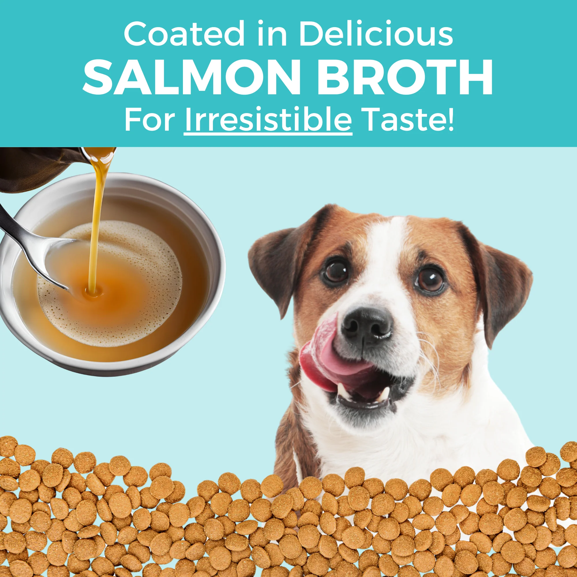 Limited Ingredient Dry Bland Diet Salmon & Brown Rice Recipe with Pumpkin for Dogs - Image 6