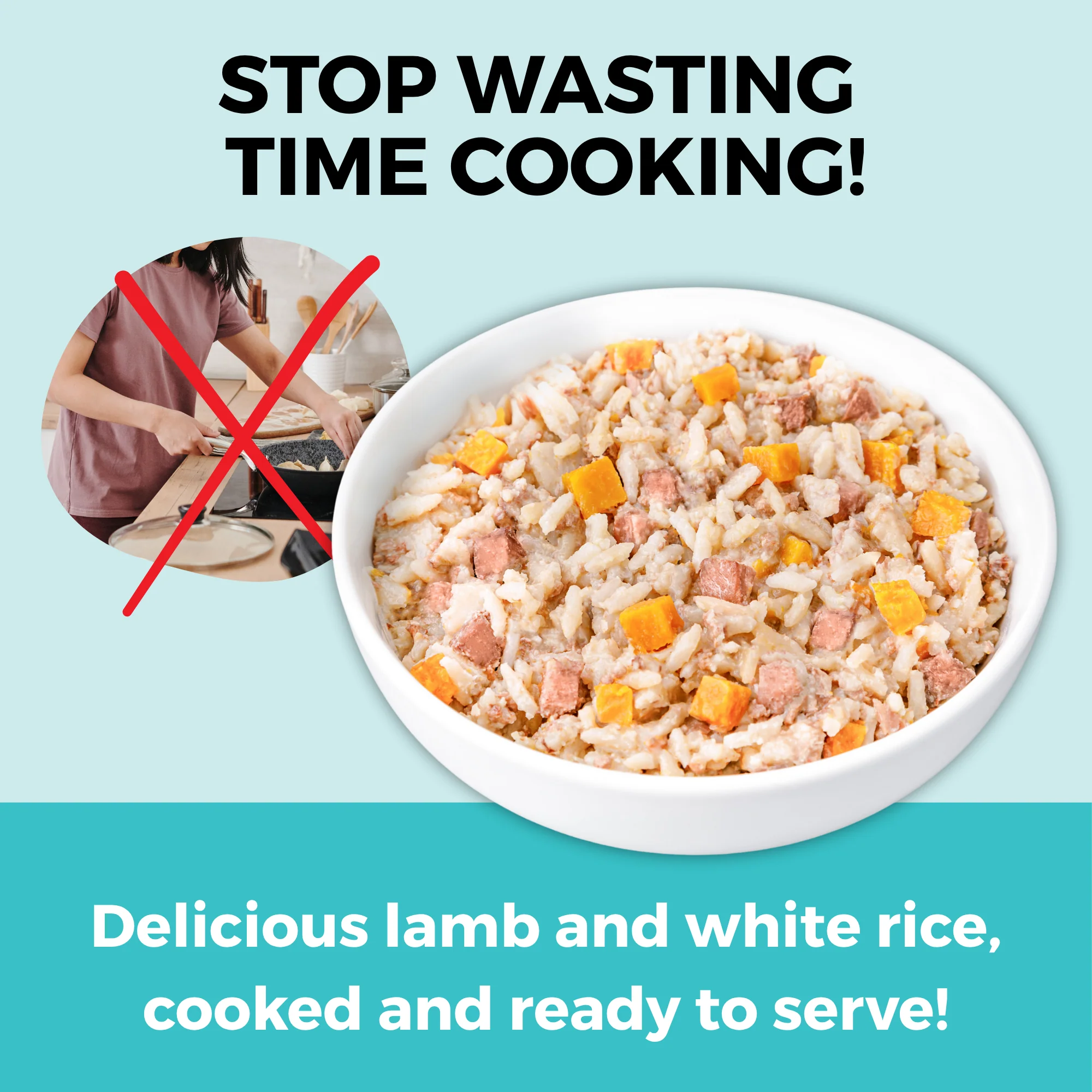 Limited Ingredient Wet Bland Diet Lamb & White Rice Recipe for Dogs - Image 3