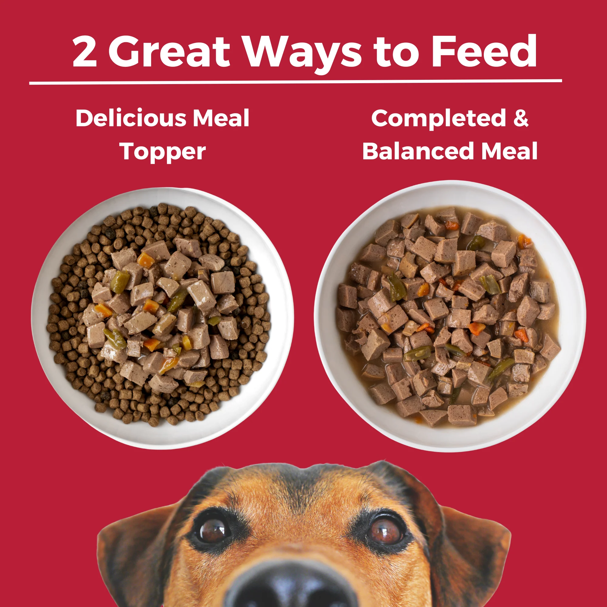 Lone Star Brisket Slow Cooked Stew Beef Recipe for Dogs - Image 4