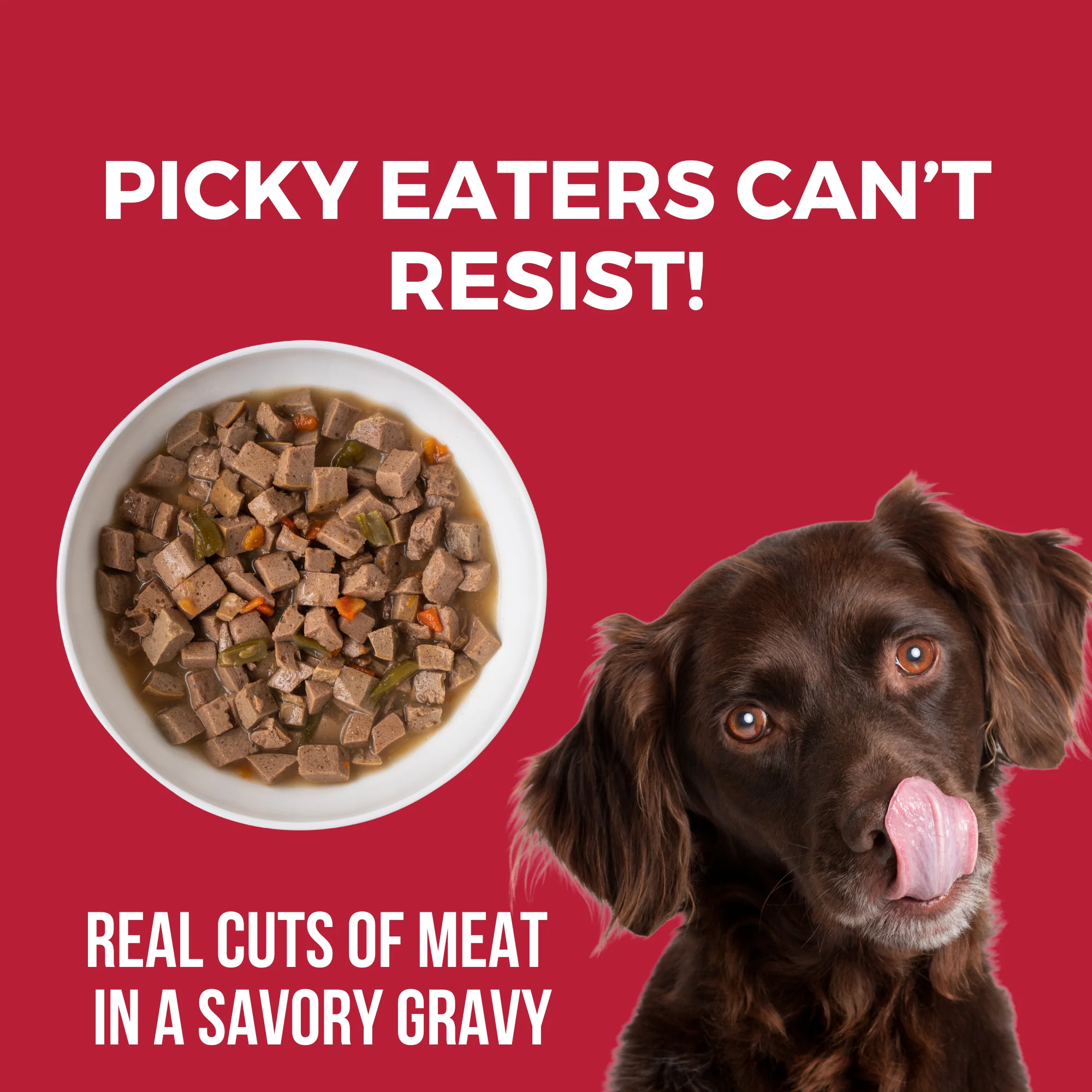 Lone Star Brisket Slow Cooked Stew Beef Recipe for Dogs - Image 5