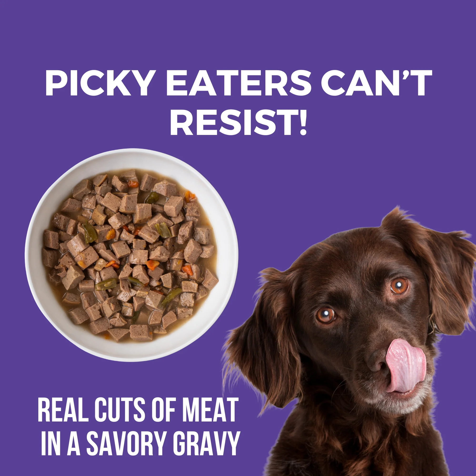 Memphis Barbeque Slow Cooked Stew Chicken & Pork Recipe for Dogs - Image 3