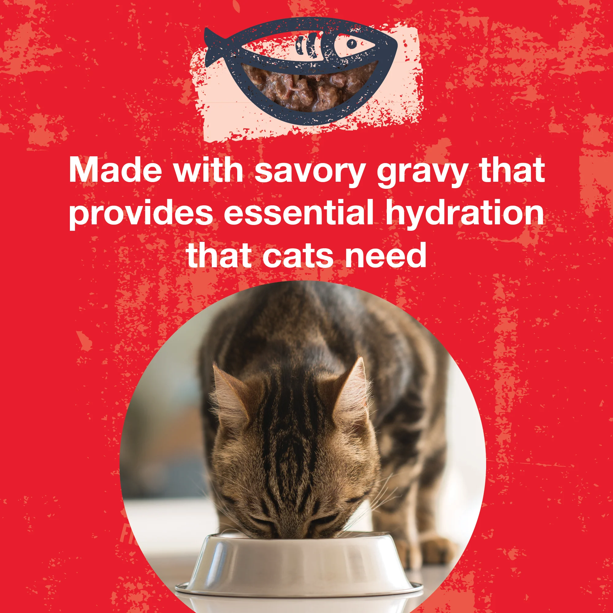 Poké Bowl Tuna & Beef Entrée in Gravy for Cats - Image 5