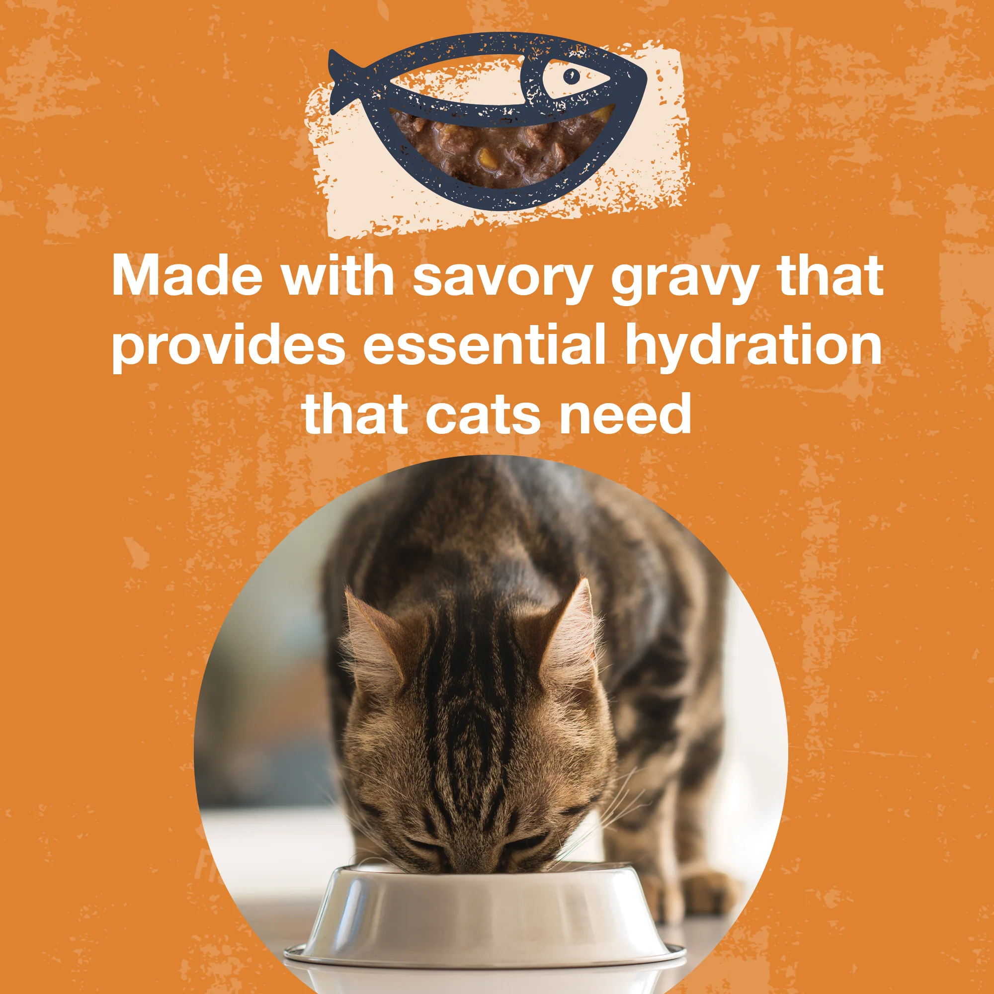 Poké Bowl Tuna & Pumpkin Entrée in Gravy for Cats - Image 6
