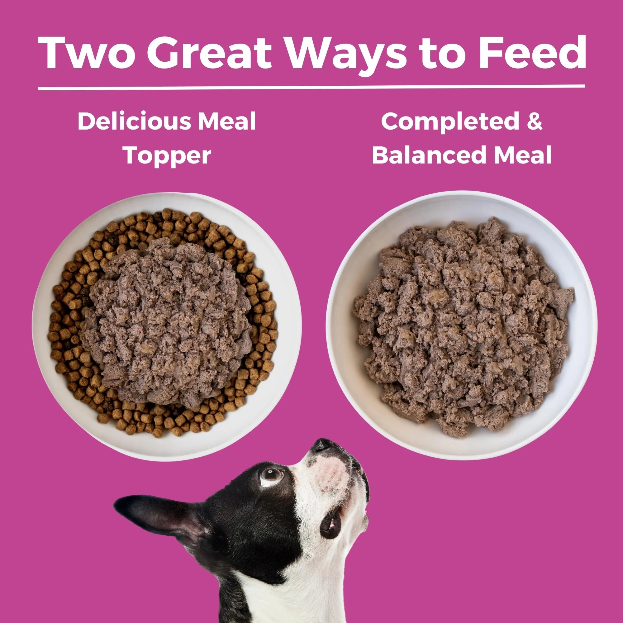 Limited Ingredient Diet Pork Entrée for Dogs - Image 5