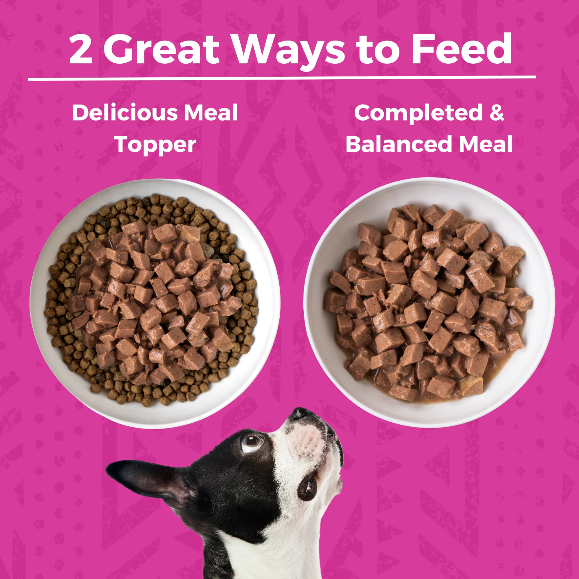 Minimal Ingredient Pork Stew for Dogs - Image 3