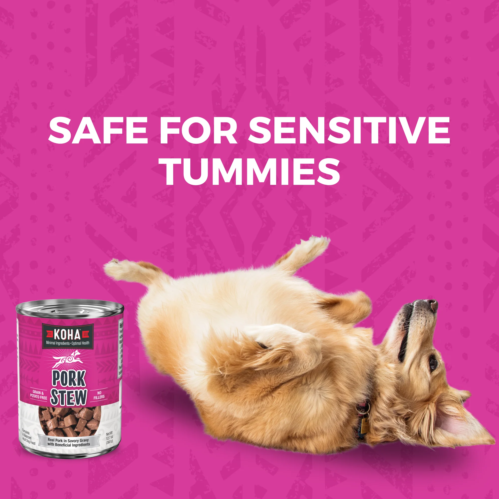 Minimal Ingredient Pork Stew for Dogs - Image 5