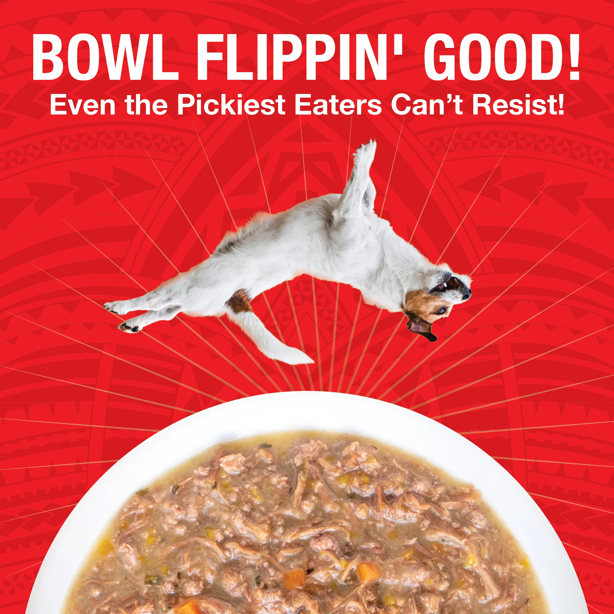 Pure Shreds Shredded Beef Entrée for Dogs - Image 3