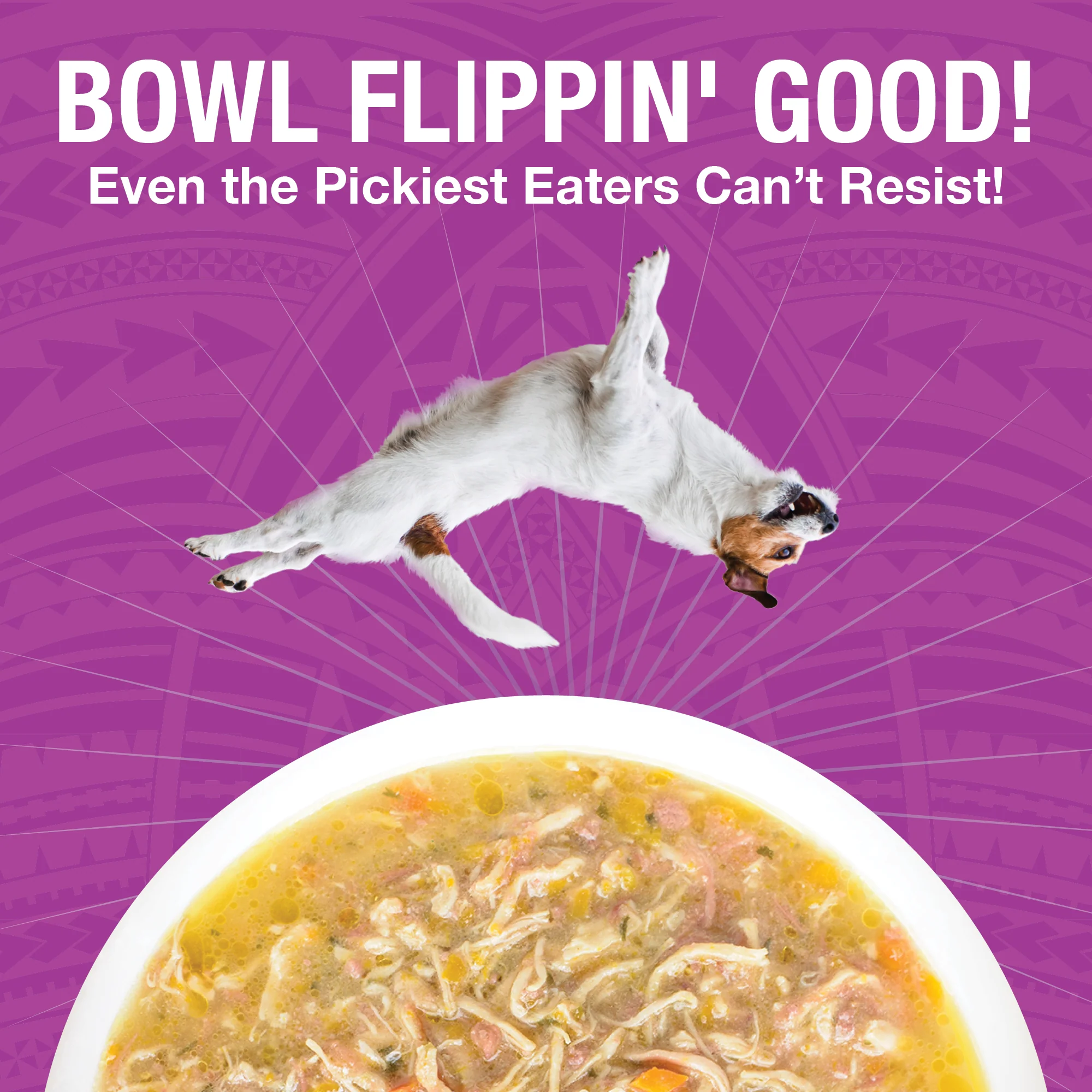 Pure Shreds Shredded Chicken Breast & Beef Entrée for Dogs - Image 3