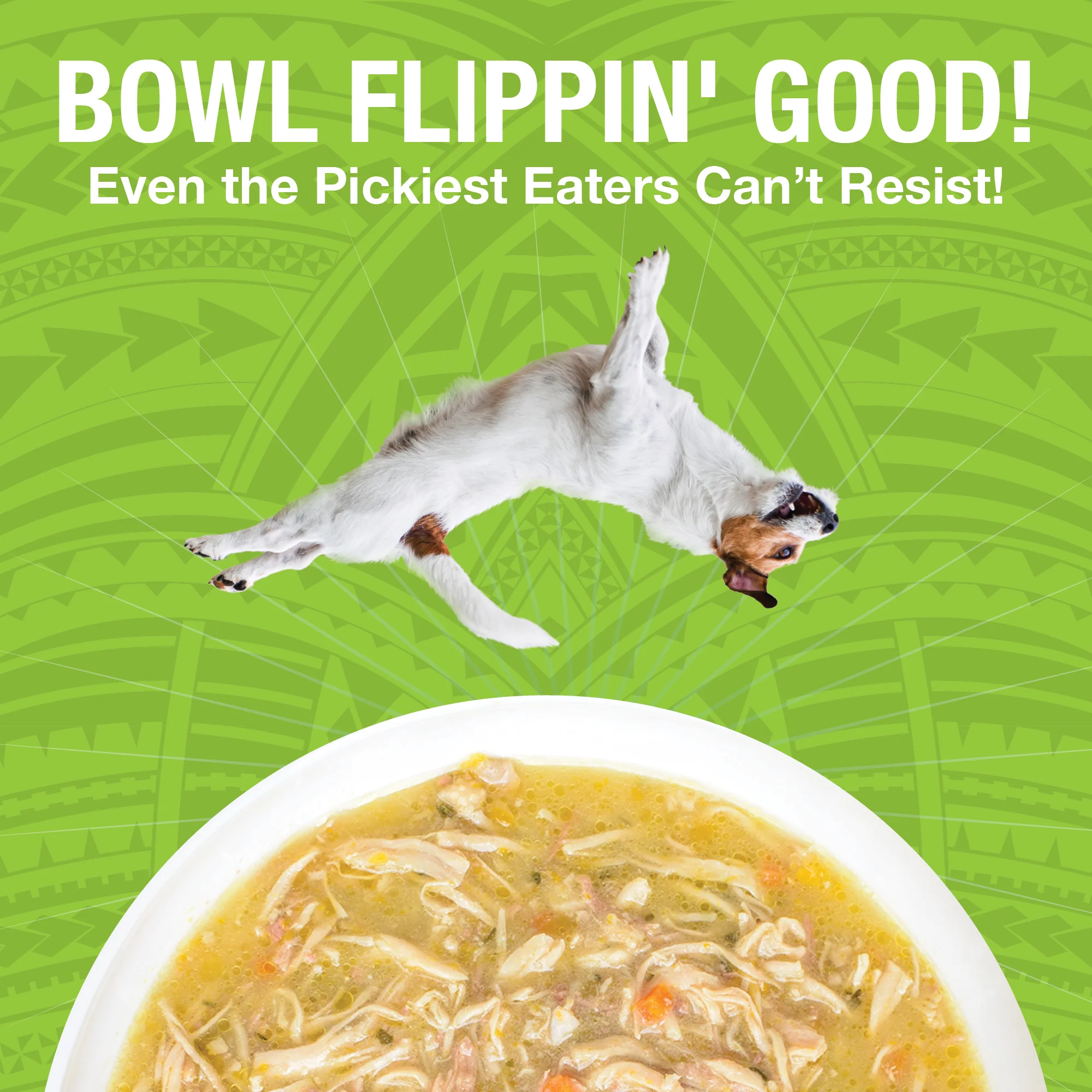 Pure Shreds Shredded Chicken Breast & Duck Entrée for Dogs - Image 4