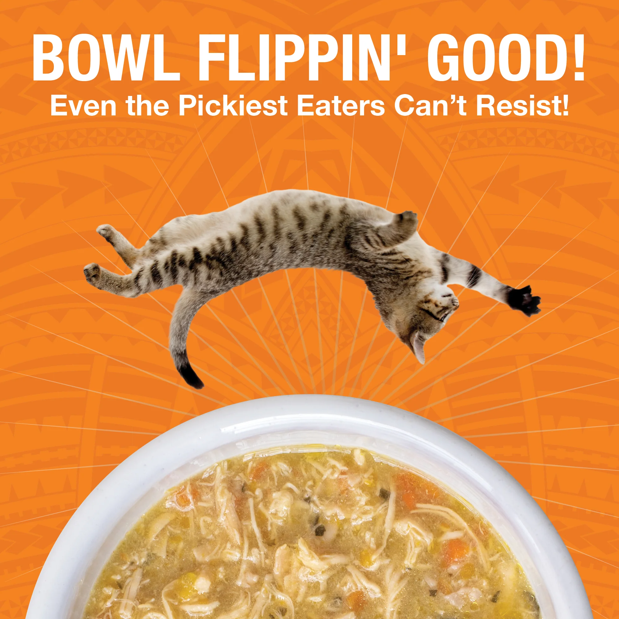 Pure Shreds Shredded Chicken Breast Entrée for Cats - Image 3